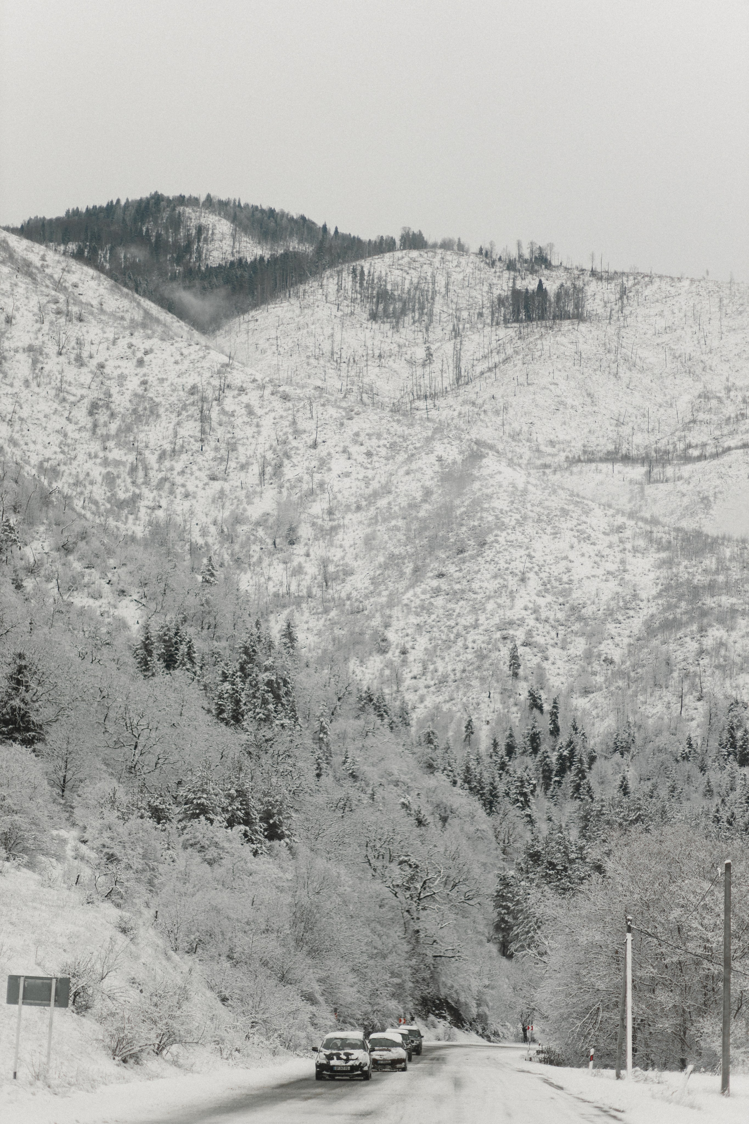 Winter in Bakuriani. Anastasia Blud Photography