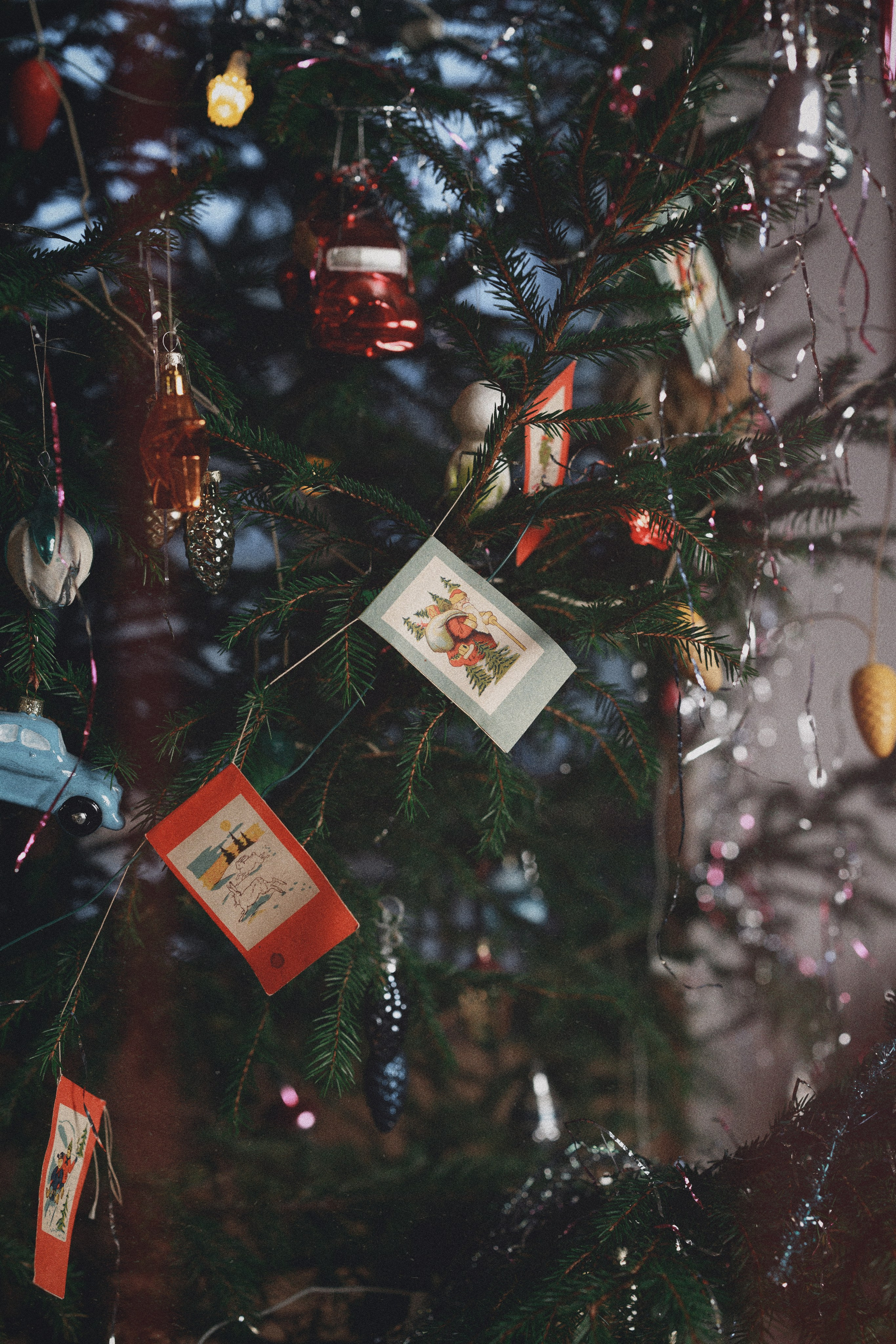 #новогоднее ностальгическое 2026. Фотограф Санкт-Петербург Конюхова Мария