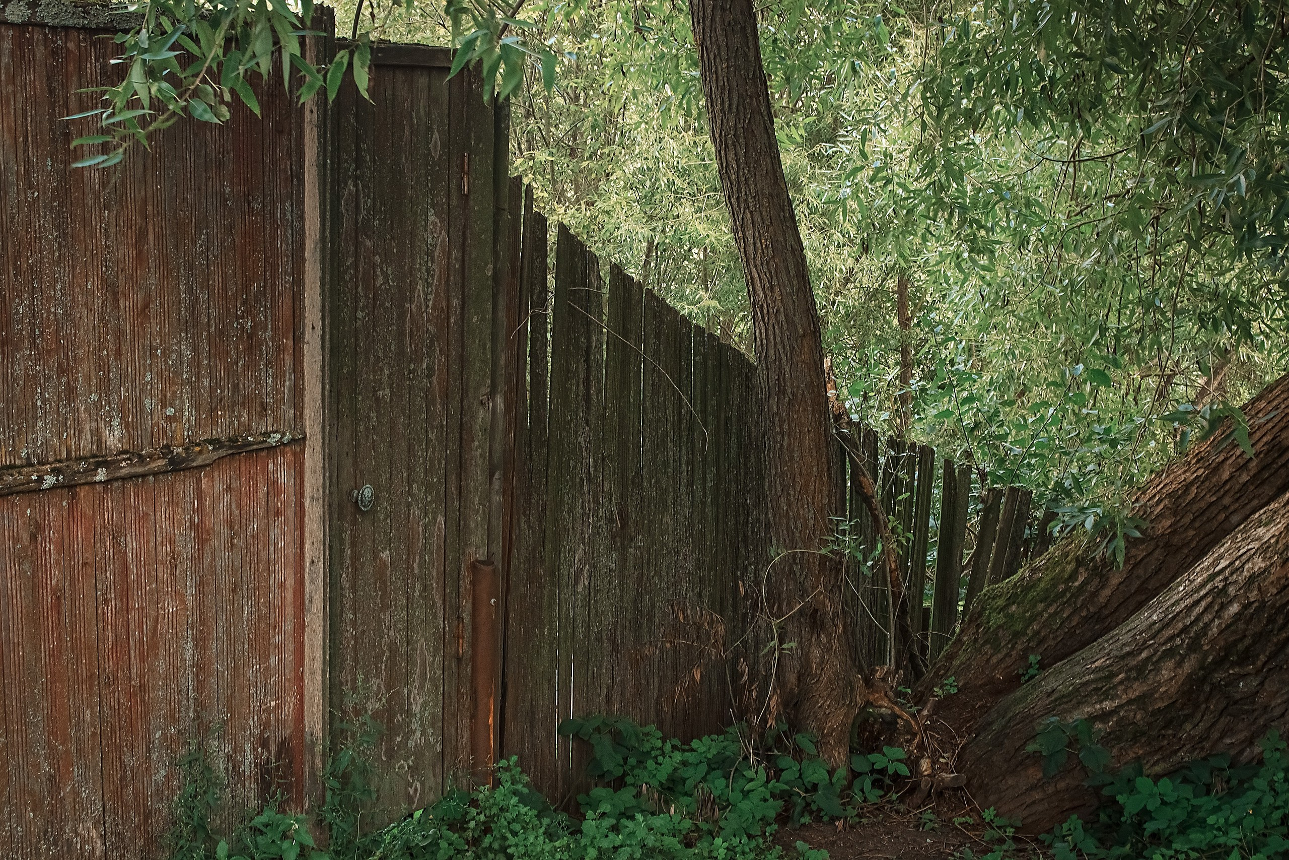 Границы и Рамки. Аmat Victoria Сuram
