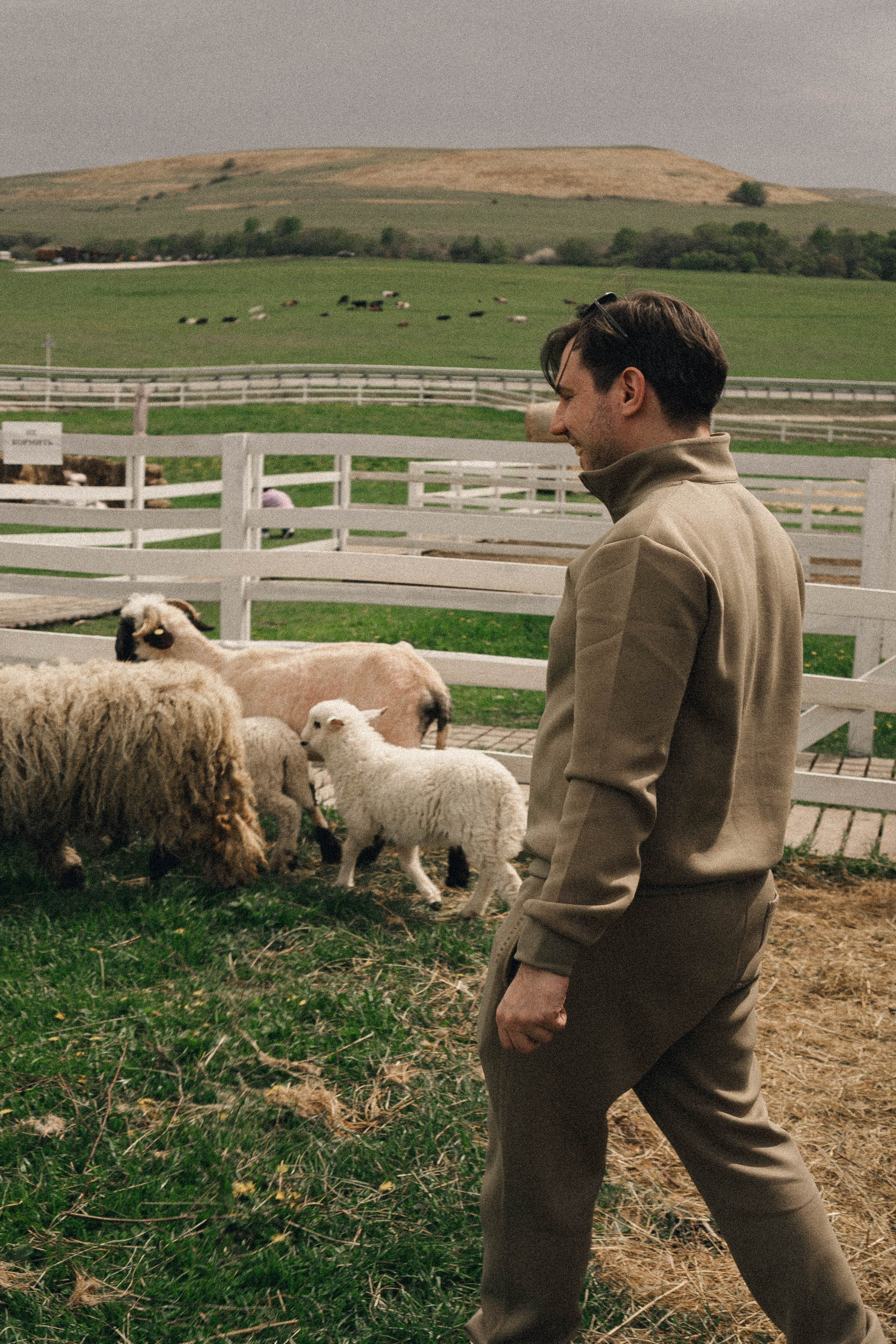 Ферма Альпак. Профессиональный фотограф, Санкт-Петербург — Виктория Богомолова
