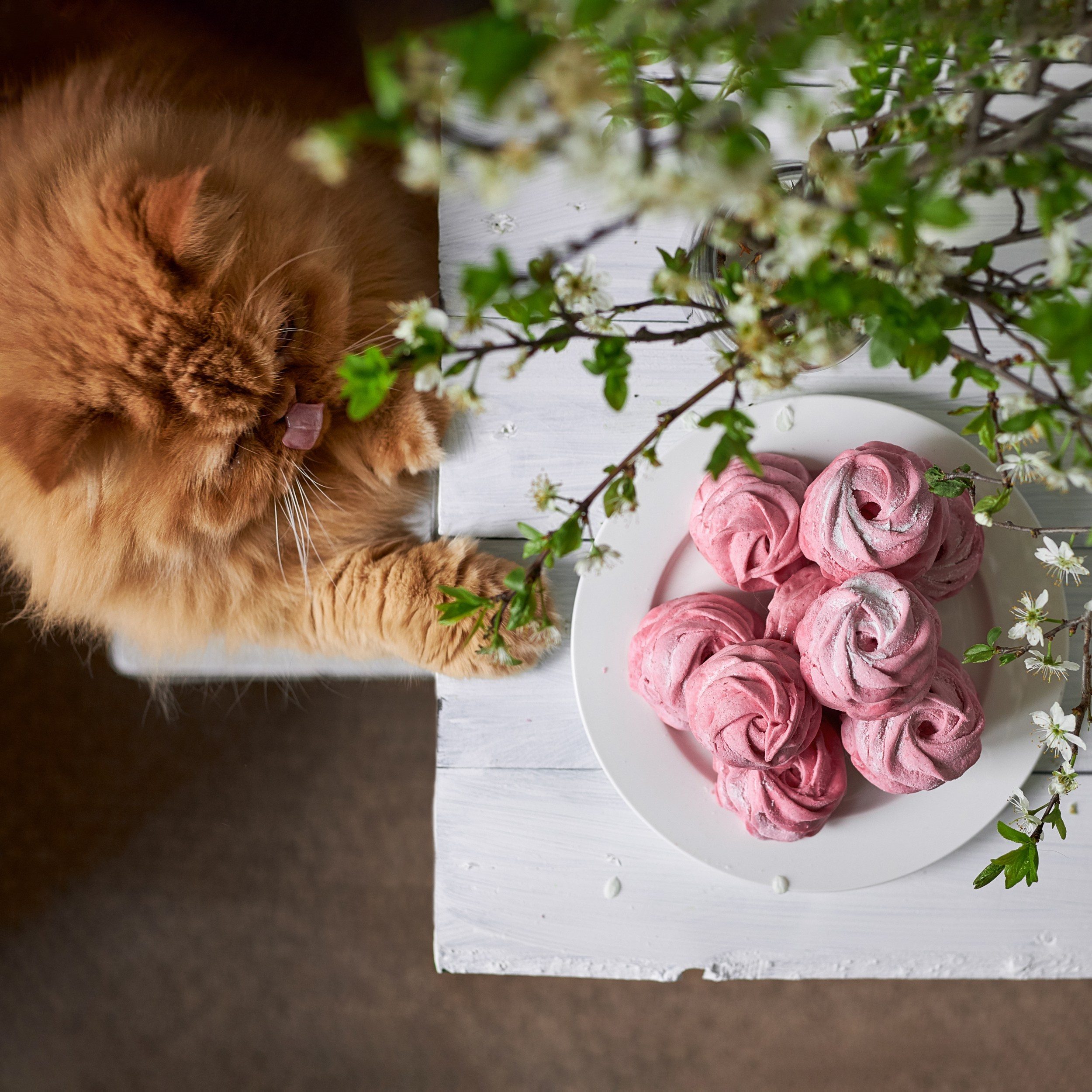 Разные десерты. Фуд и предметный фотограф Гришина Ольга
