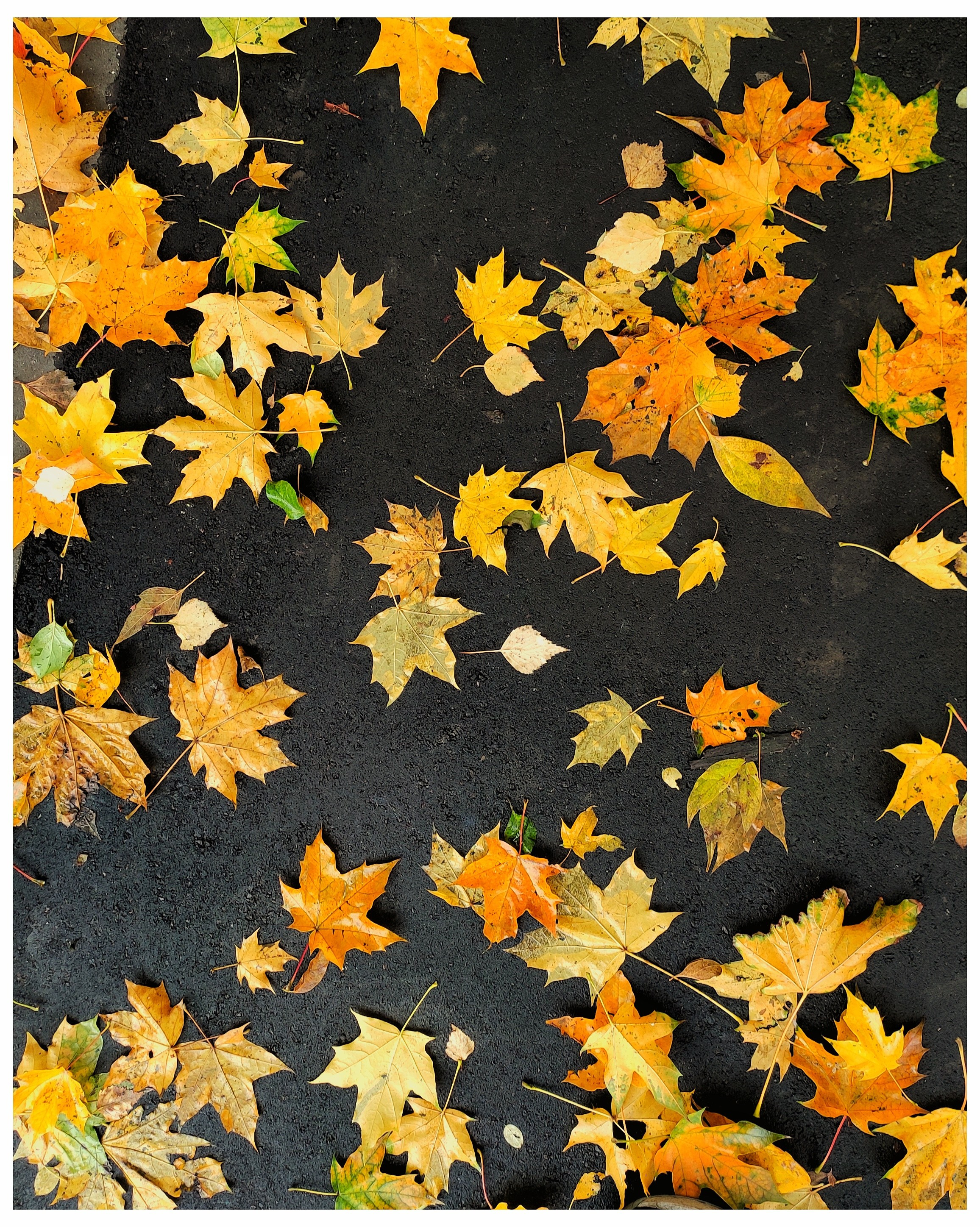 Мир повседневных Вещей. Репортажный и портретный фотограф, Влад Хафизов, Москва