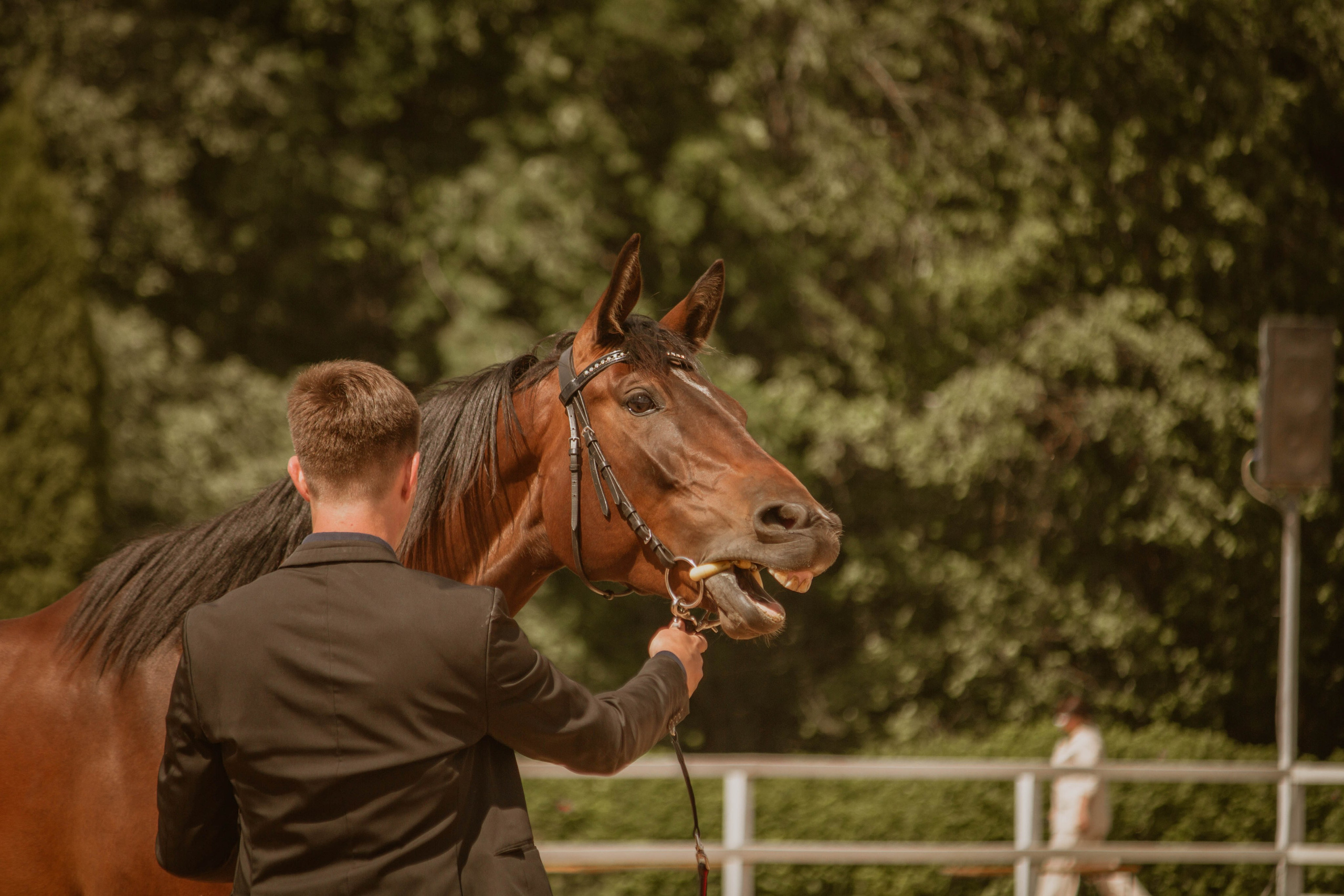 ИППОСФЕРА — Международная конная выставка. Создадим шедевр? Виталина и её фотоискусство