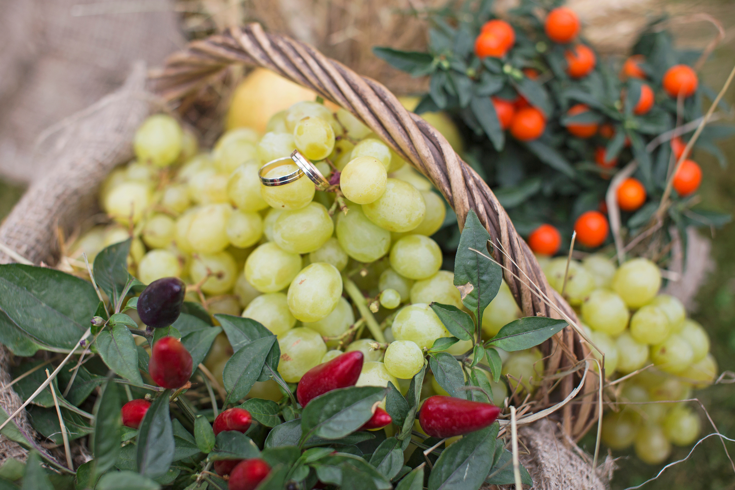 Свадебная фотосъемка для Насти и Антона. Свадебный и семейный фотограф в Москве Евгения Лисина