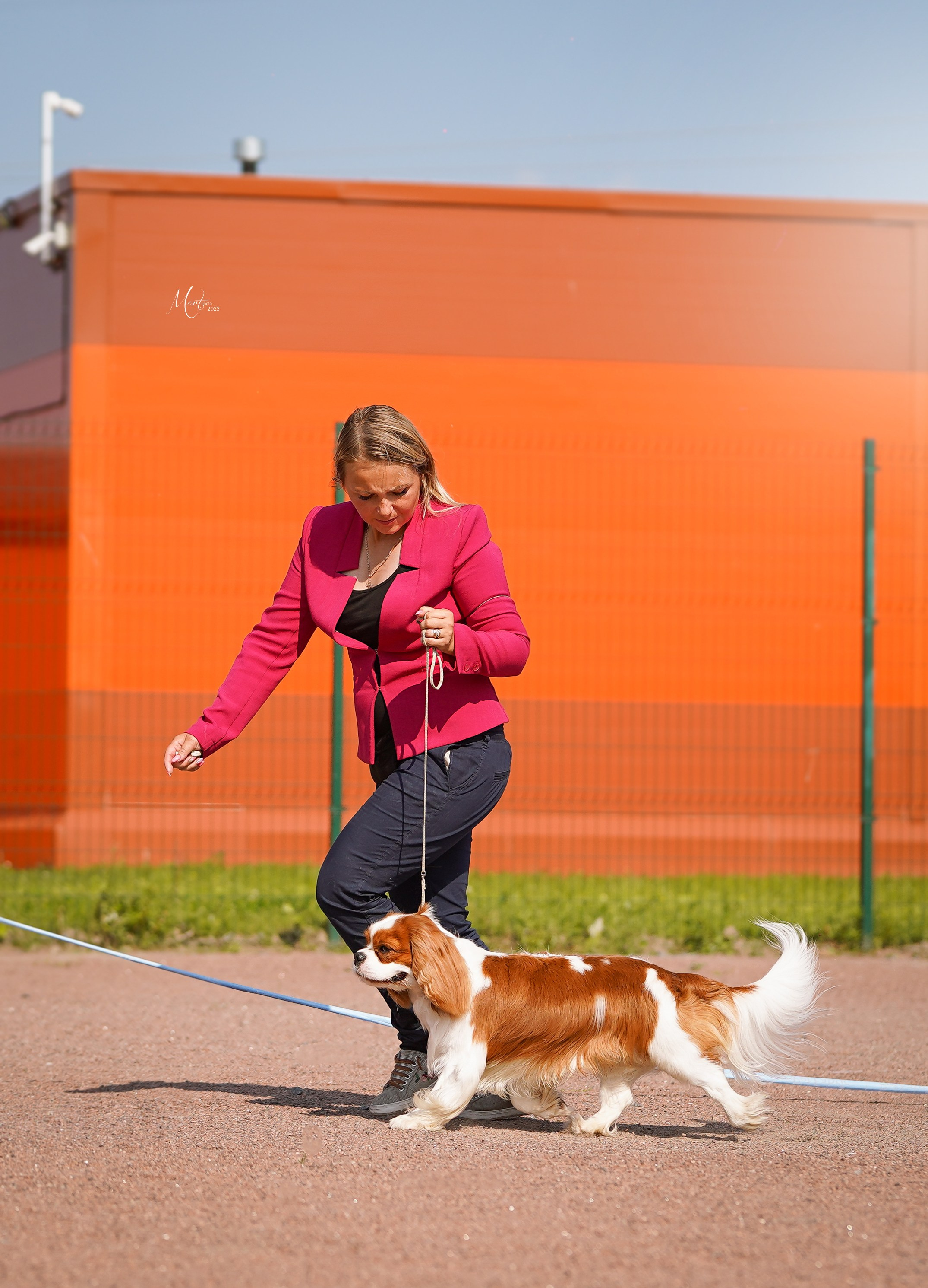 Выставки 2023. Фотограф-анималист в Санкт-Петербурге Яна Мартынова