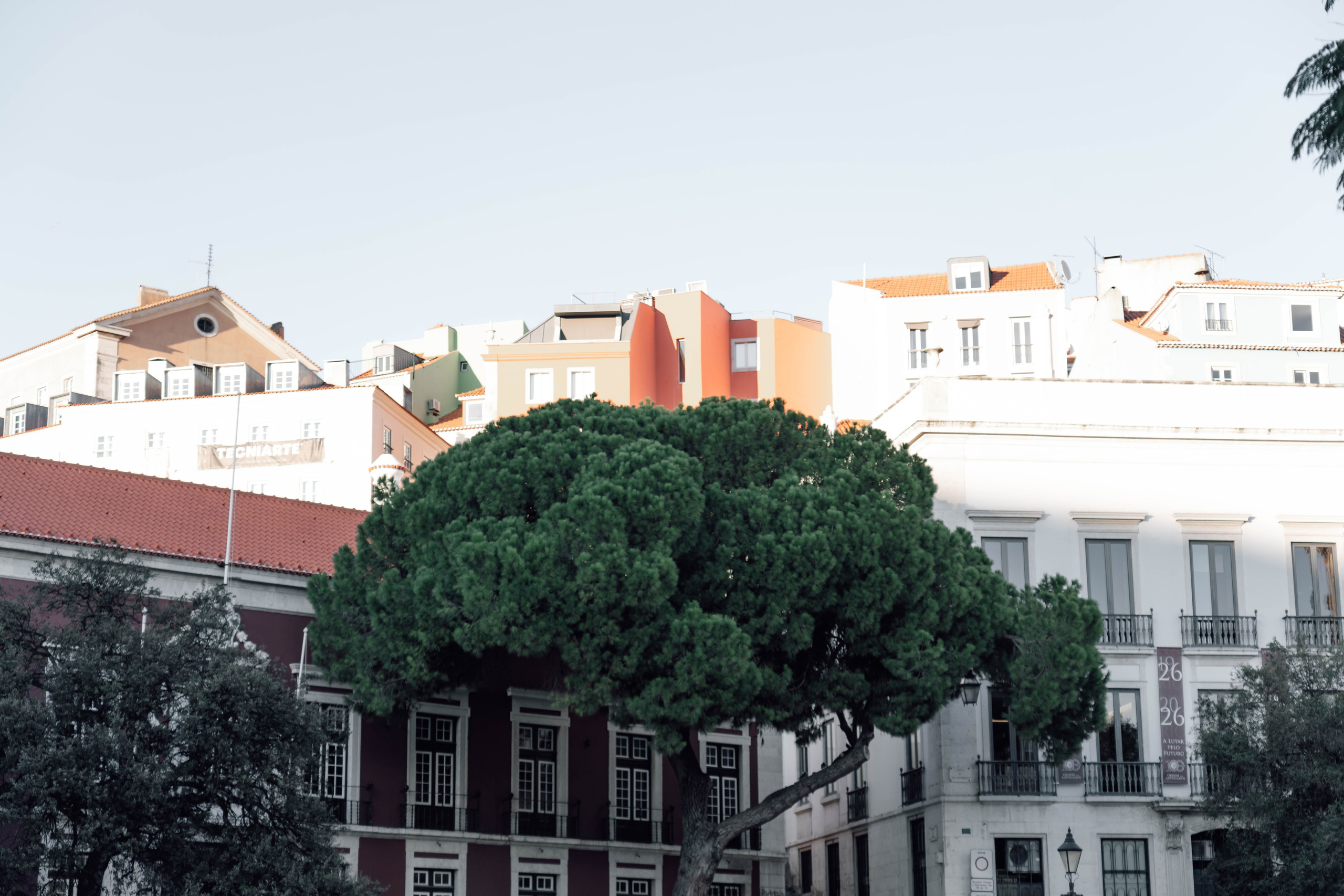 Португалия. Фотографирую для себя, своей семьи и друзей!