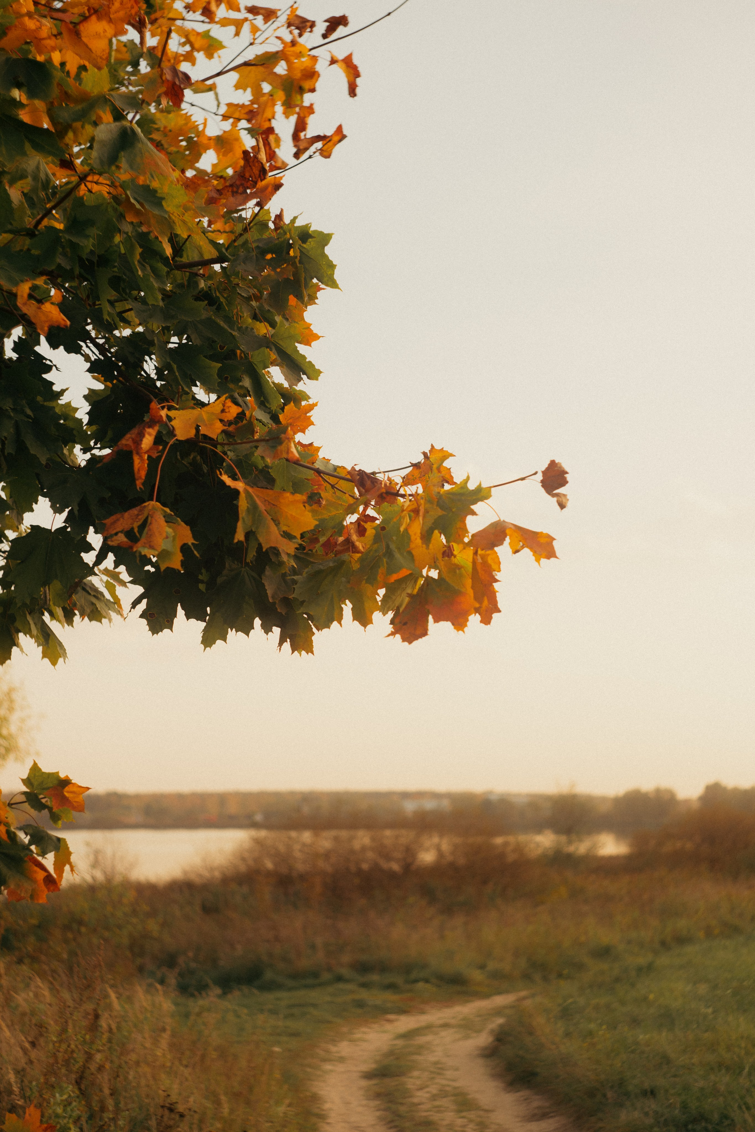 Сентябрь 2023. Efremovaphoto.ru