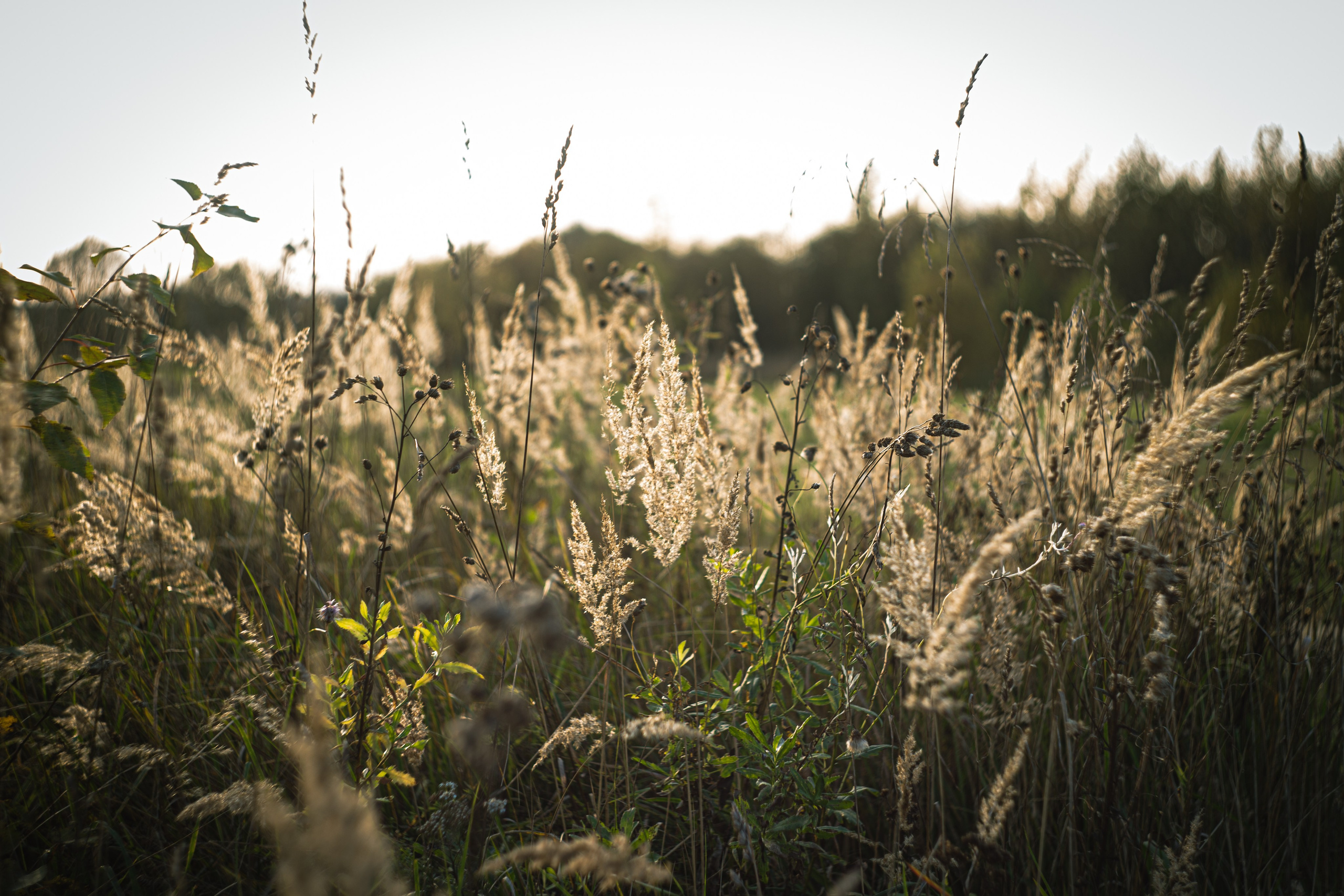 Сентябрь 2023. Efremovaphoto.ru