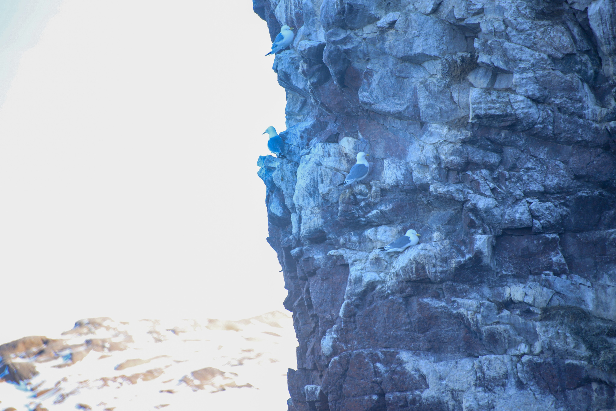 Фото с прогулок и с поездок на Кольский полуостров
