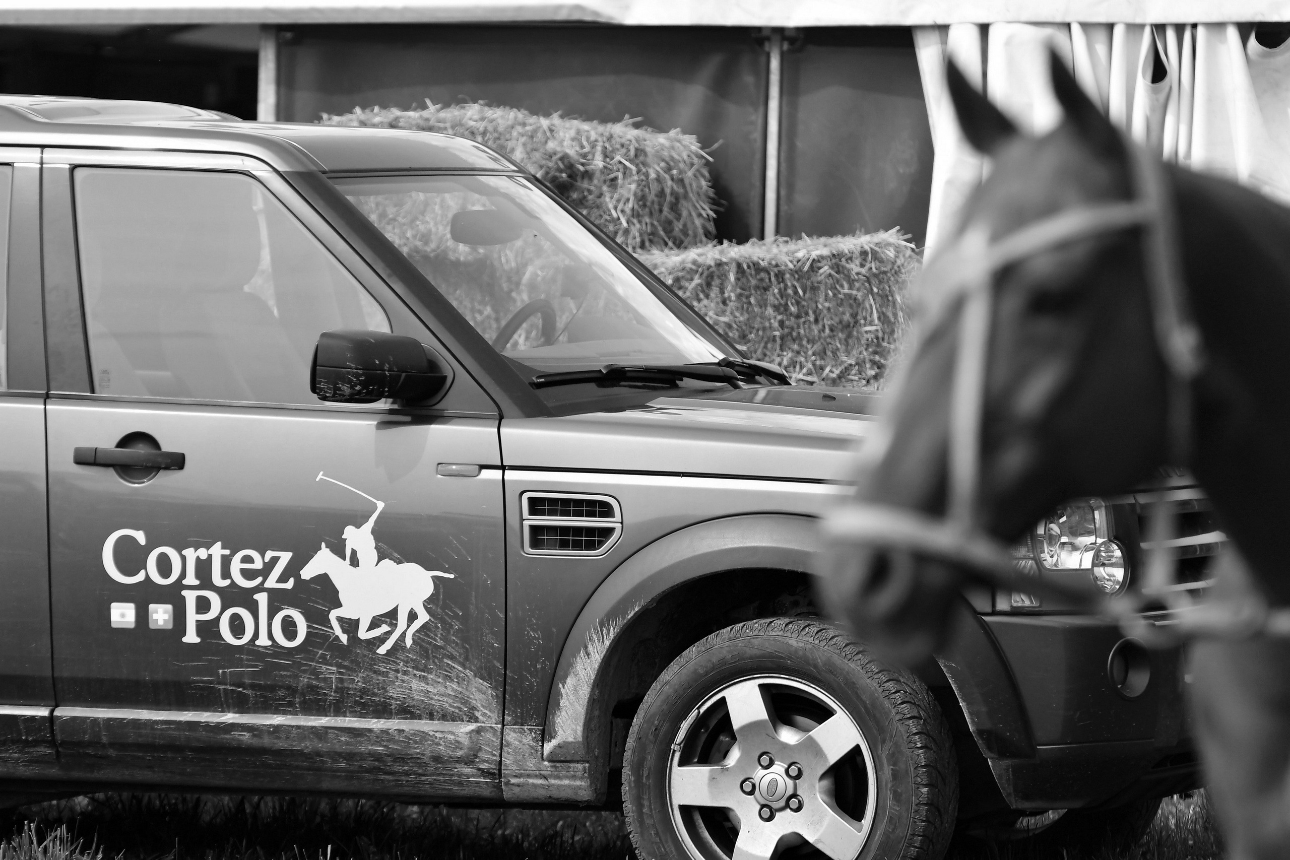 Polo art photos. Art photos of horses — ARTUR BABOEV | Photographer