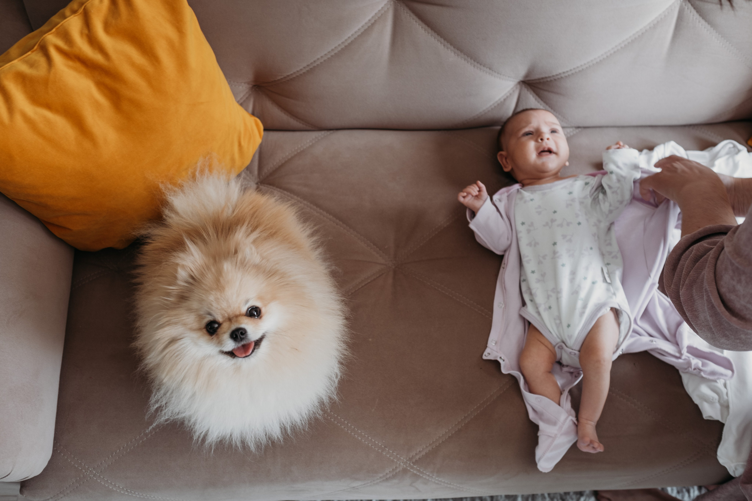 Ефросинья родилась. Семейный фотограф Москва и Домодедово Ольга Игнатова