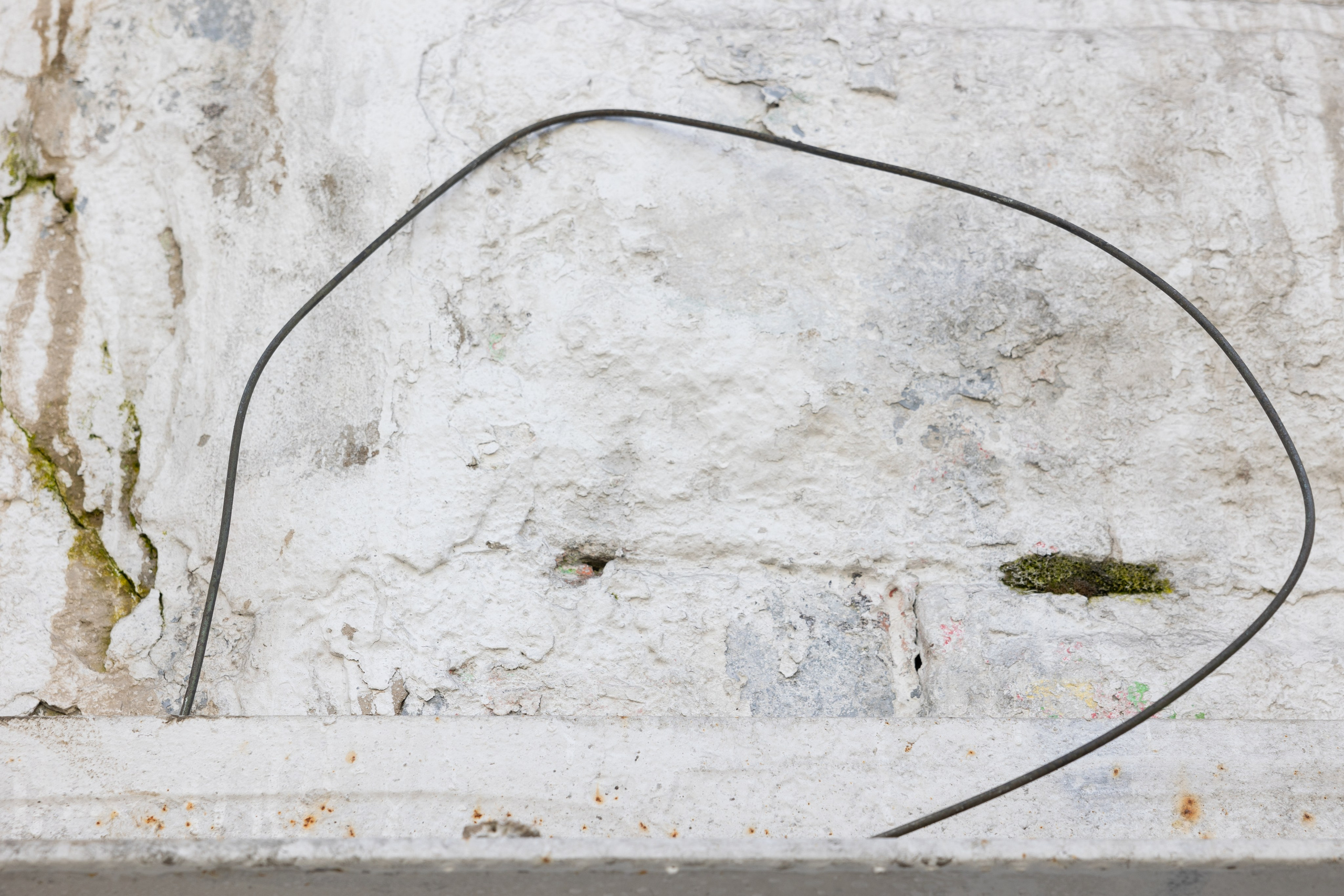 Art prints. Фотограф алина стерхова, алина стерхова фотограф, фотограф москва