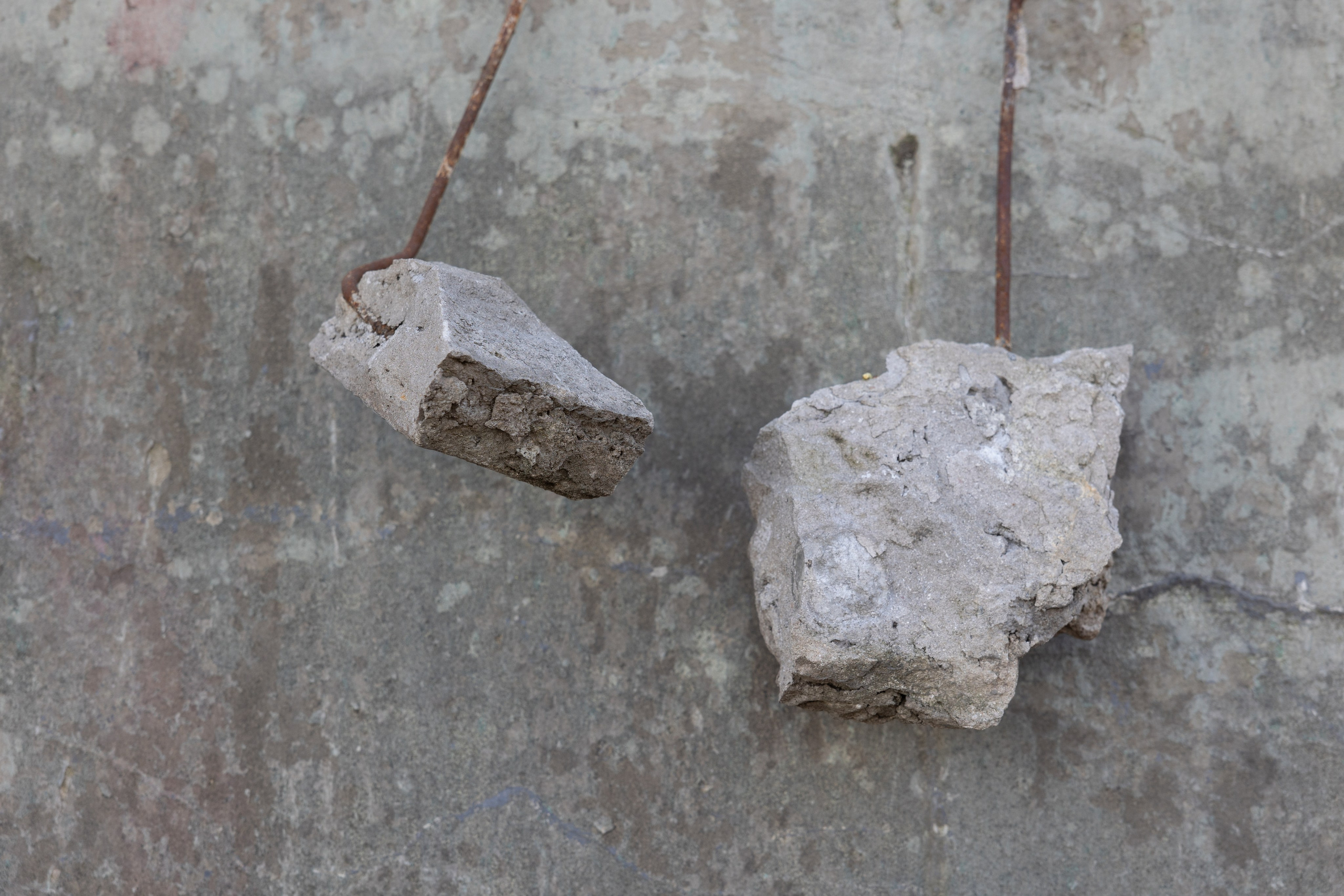 Art prints. Фотограф алина стерхова, алина стерхова фотограф, фотограф москва