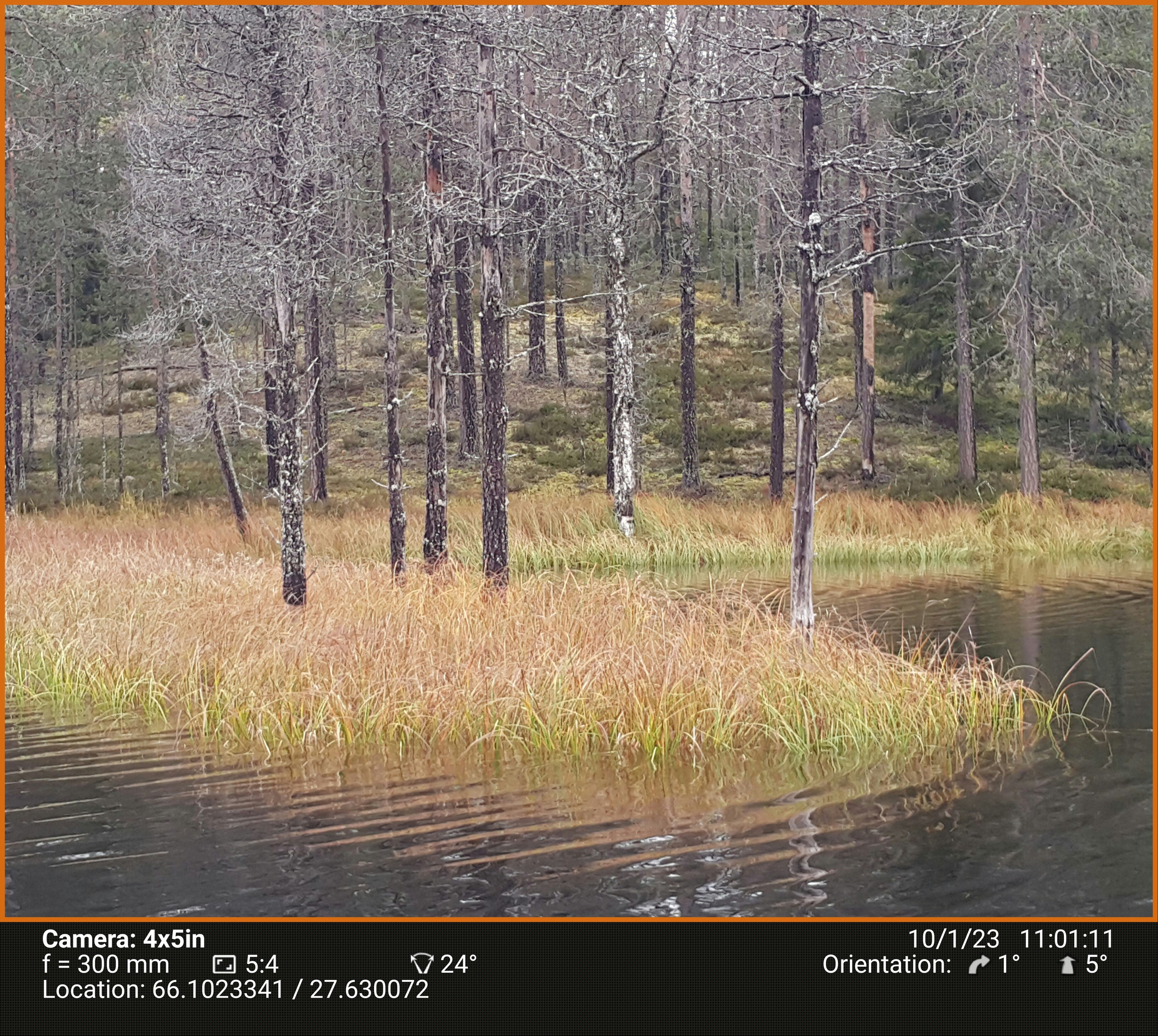 Березовый пруд. Северные Ночи