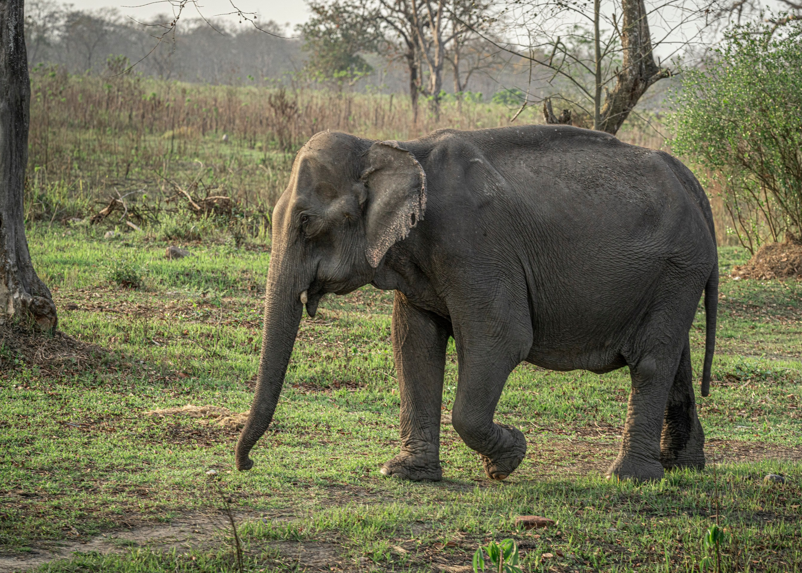India travel. Фотограф Сергей Танков