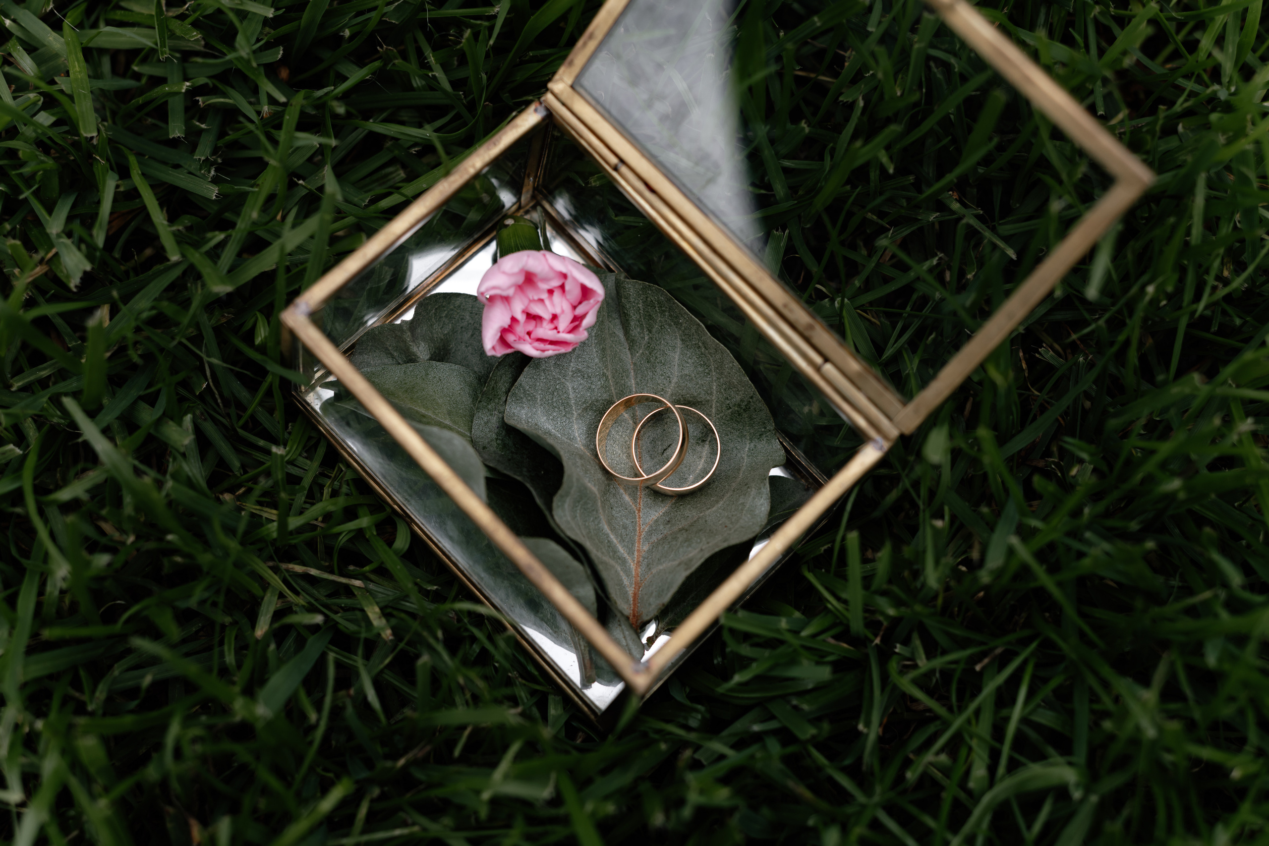 Илья & Ксюша. Свадебный фотограф в Новосибирске Алена Цизман