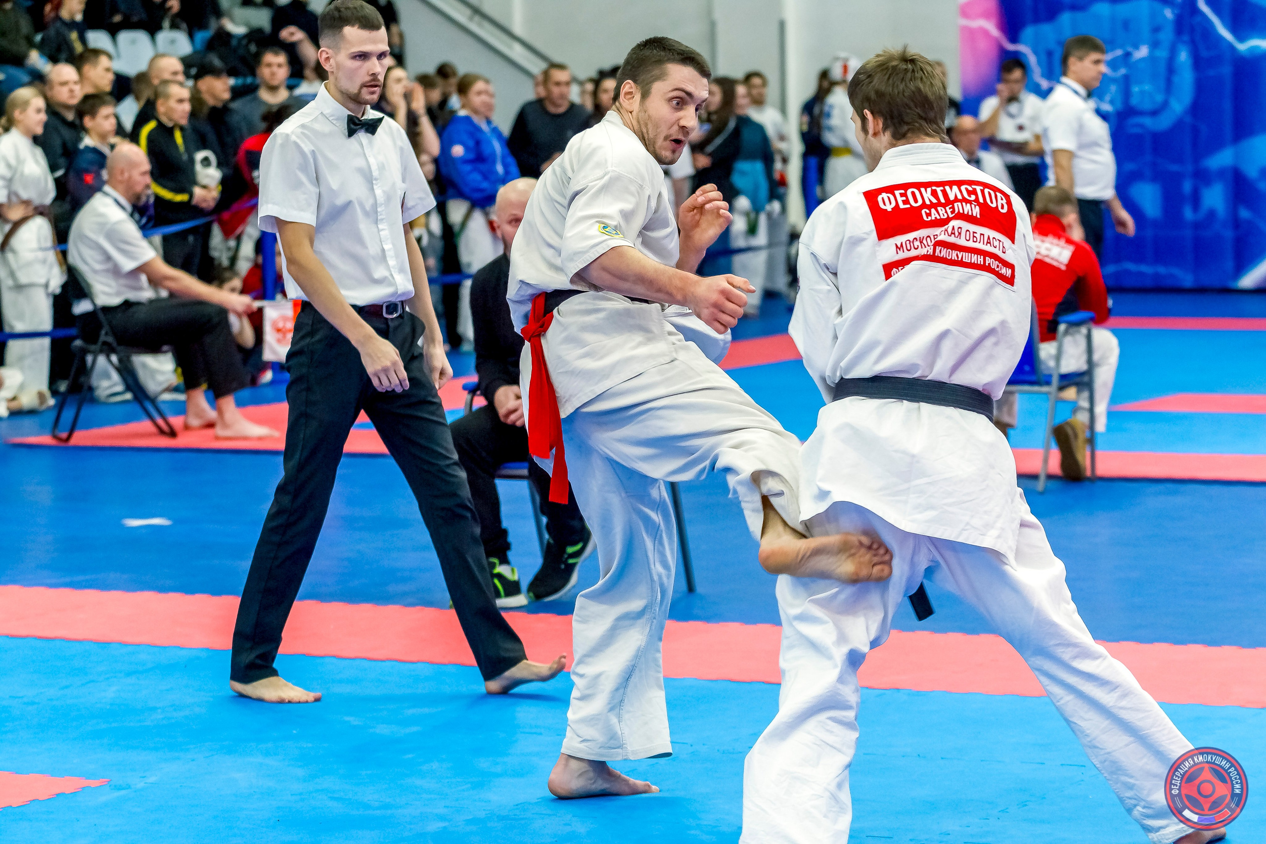 Международный турнир по киокушин «Открытый кубок Seiken». Репортажная съемка в Москве и области. Анималистика