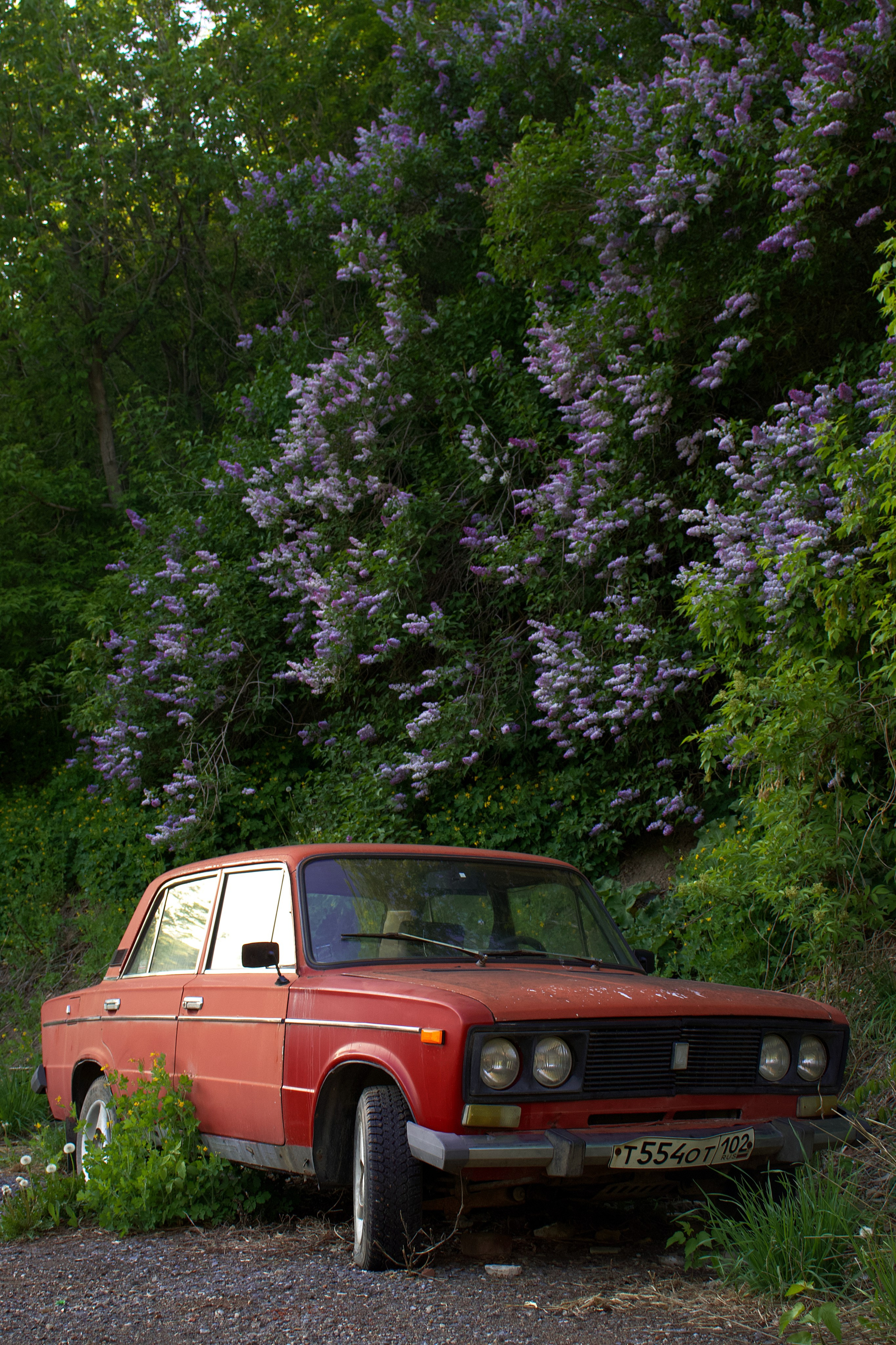 Авто-фотография. Pupov.png