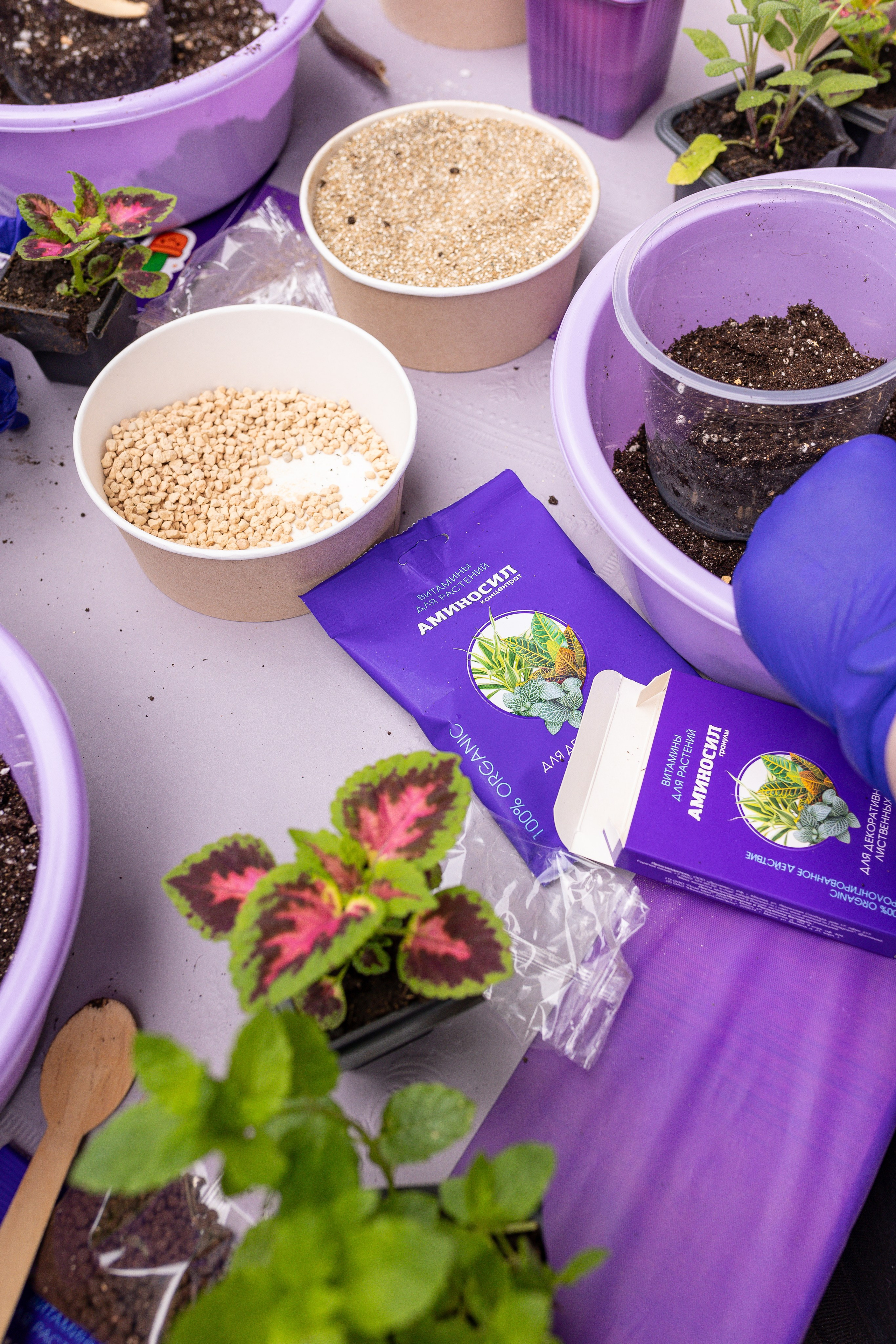 Мастер-класс от Аминосил. Александра Куликова фотограф, Москва