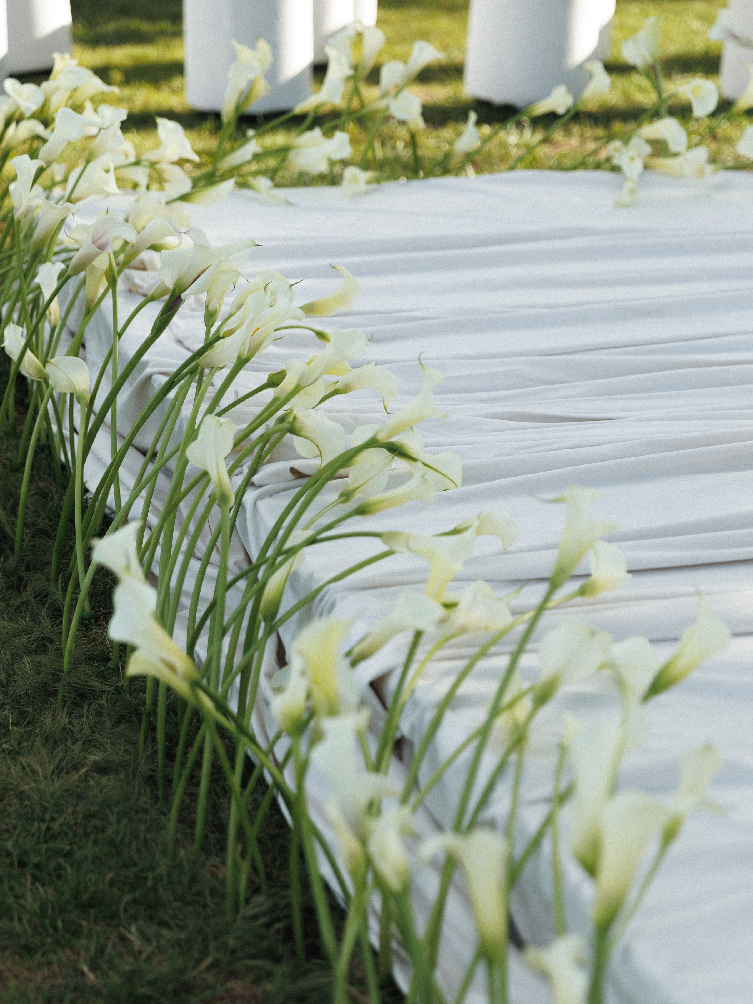 Семен и Валерия. Фотограф