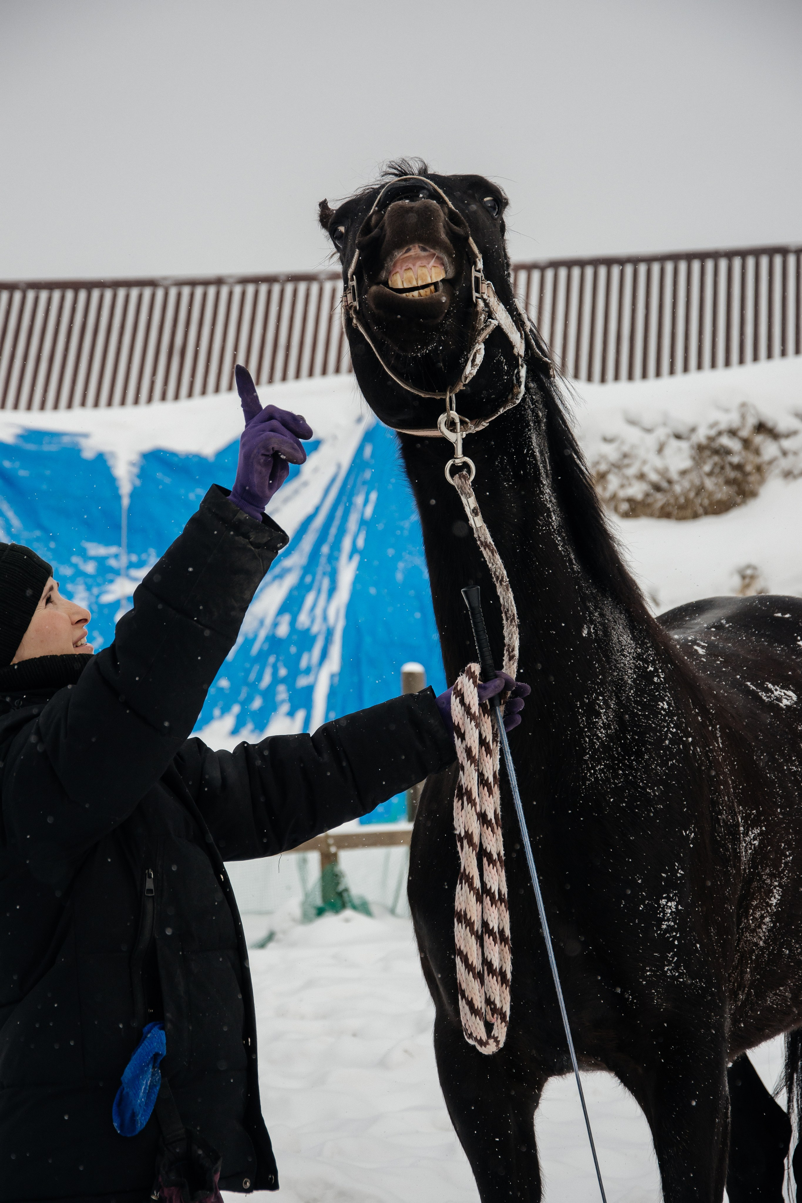 Детская прогулка. Фотограф на все случаи