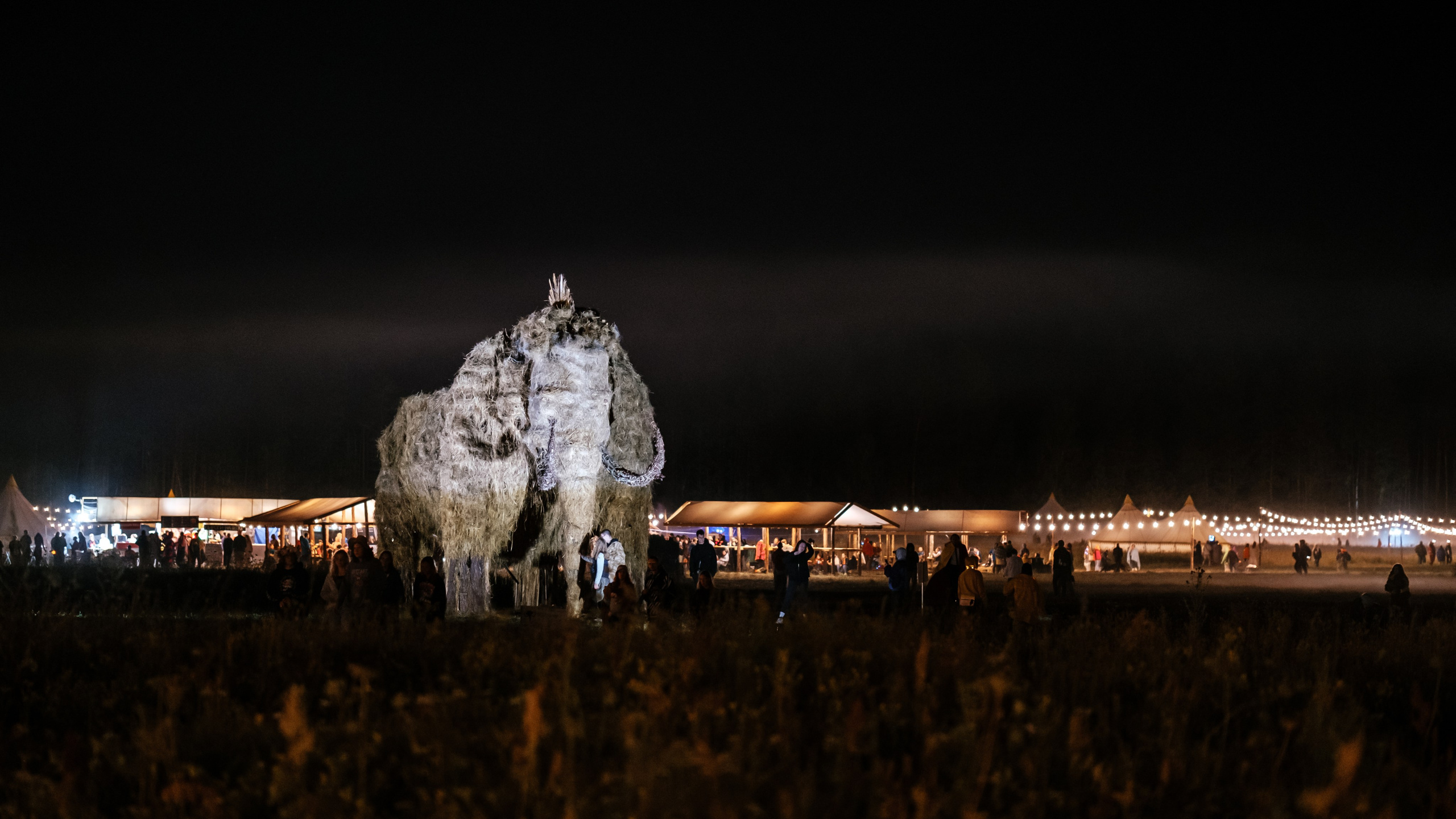 Фестиваль «Бессонница» 2024. Семейный и детский фотограф в Москве Светлана Потемкина