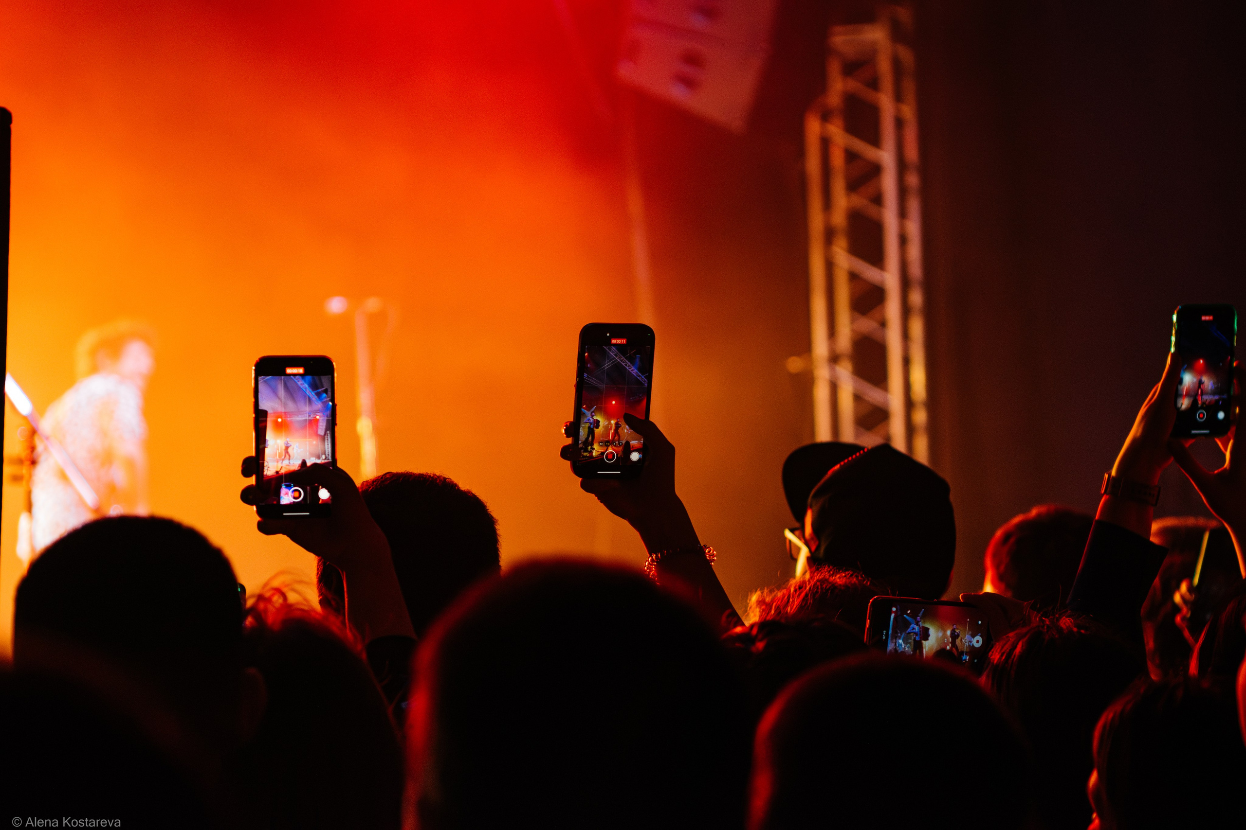 The Hatters. Алена Костарева. Фотограф в Ростове-на-Дону