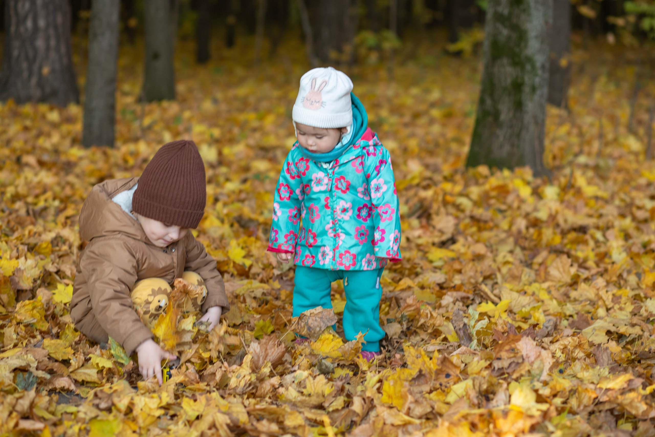 Осенние истории. Семейный и детский фотограф в Москве и МО — Александра
