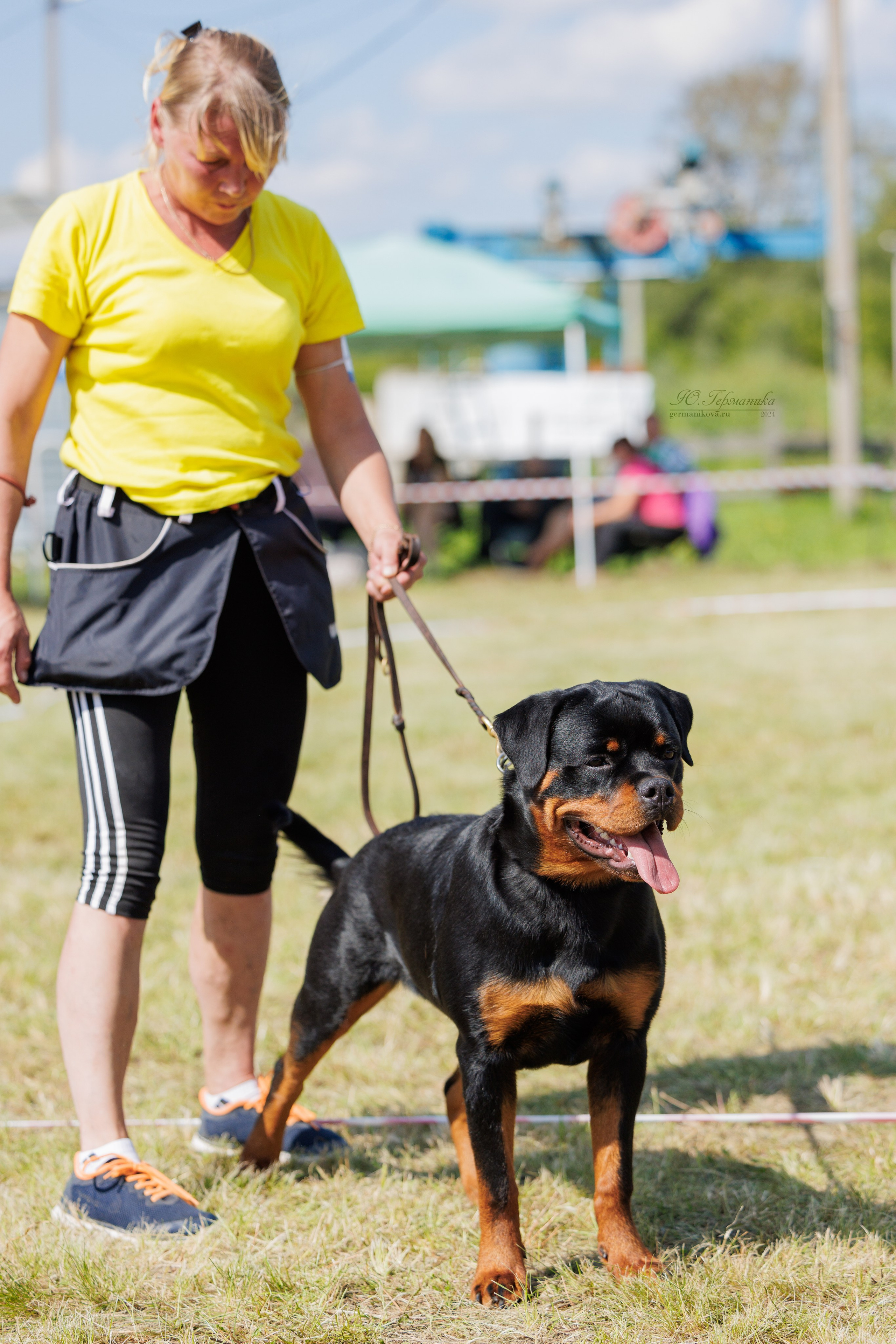 Рязань-Ховрино 10-11.08.2024 3хмоно ротвейлеров. Фотограф-анималист Юлия Германика