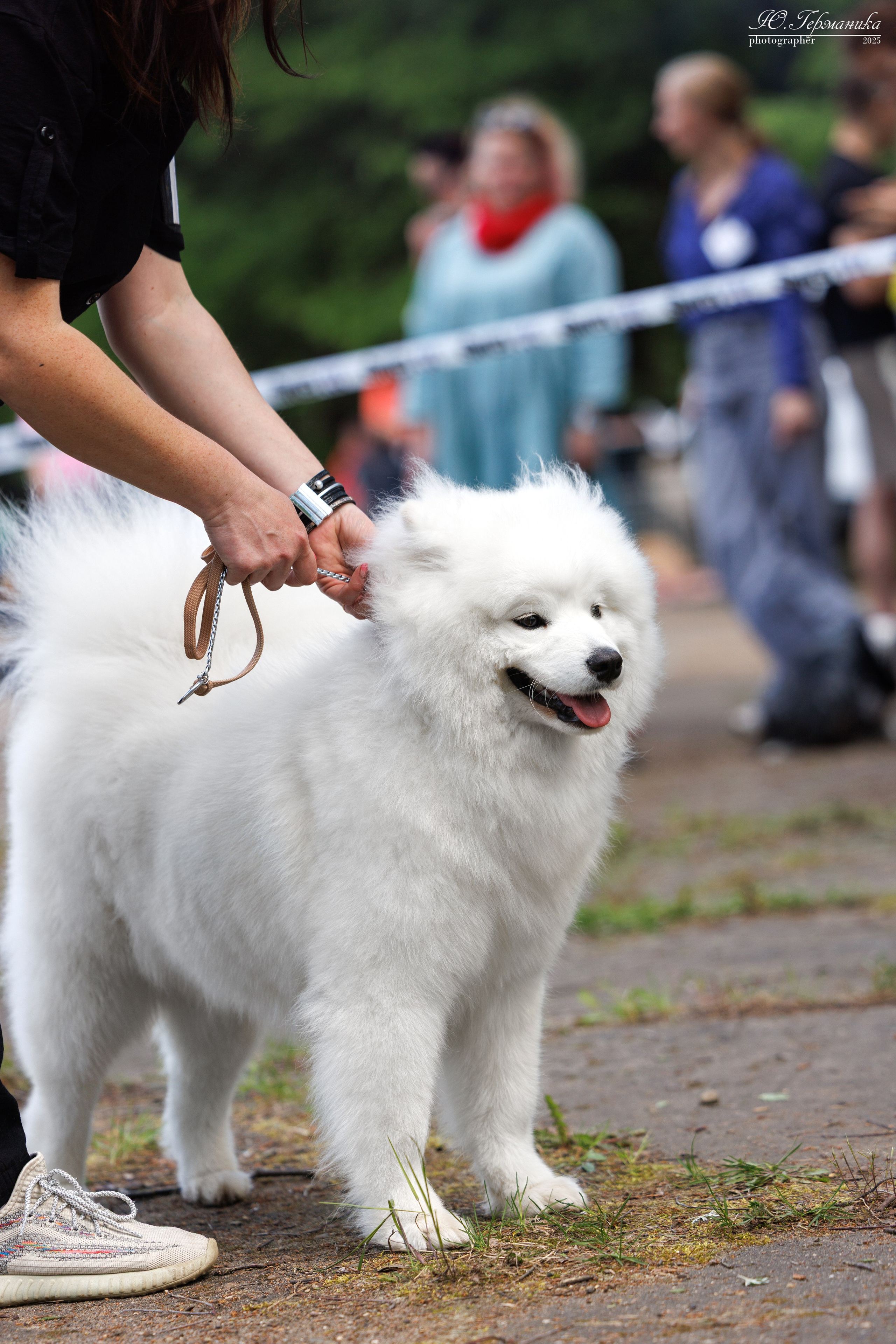 Тверь 24.05.2025. Фотограф-анималист Юлия Германика