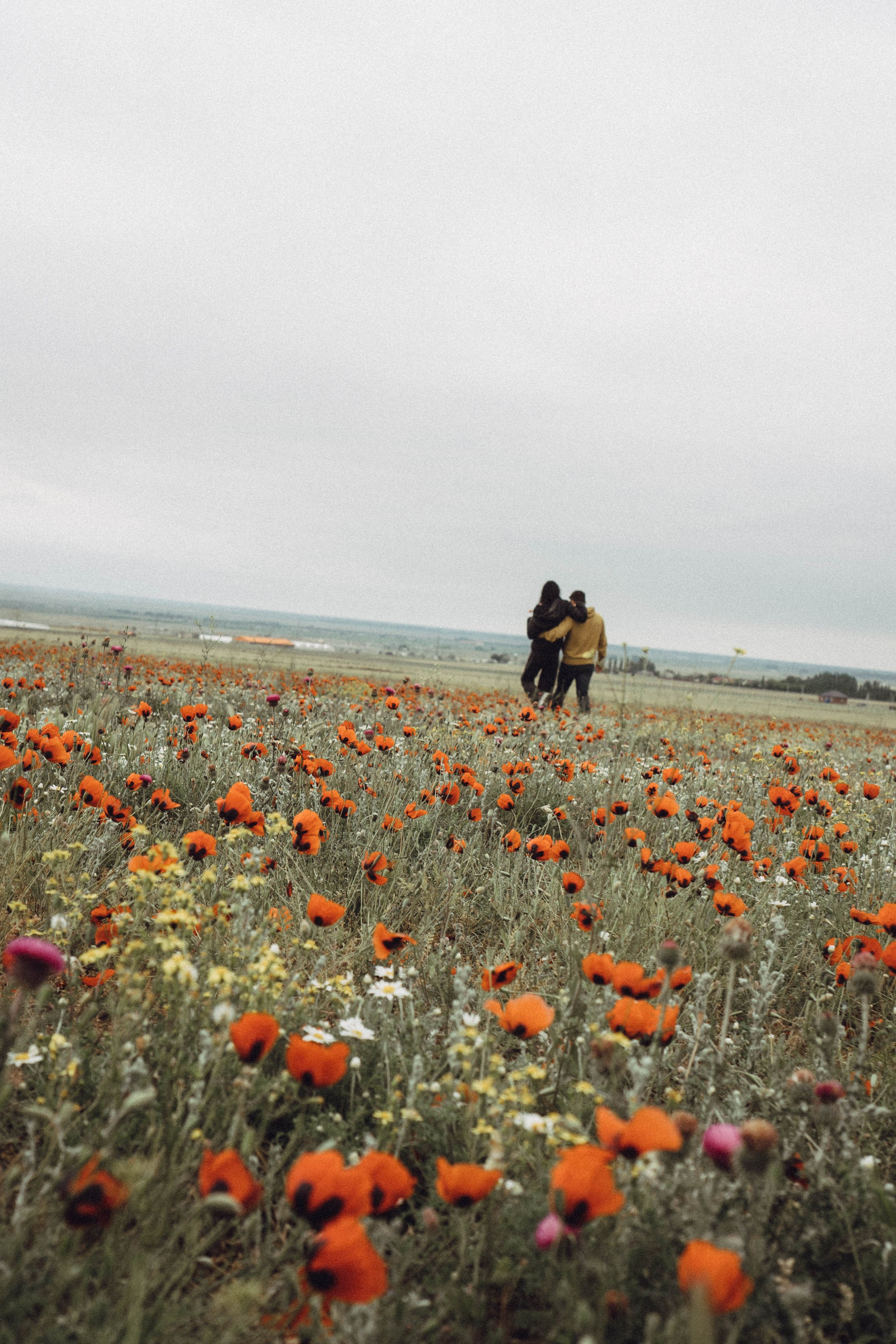 Любовь в маковом поле. Профессиональный фотограф, Санкт-Петербург — Виктория Богомолова