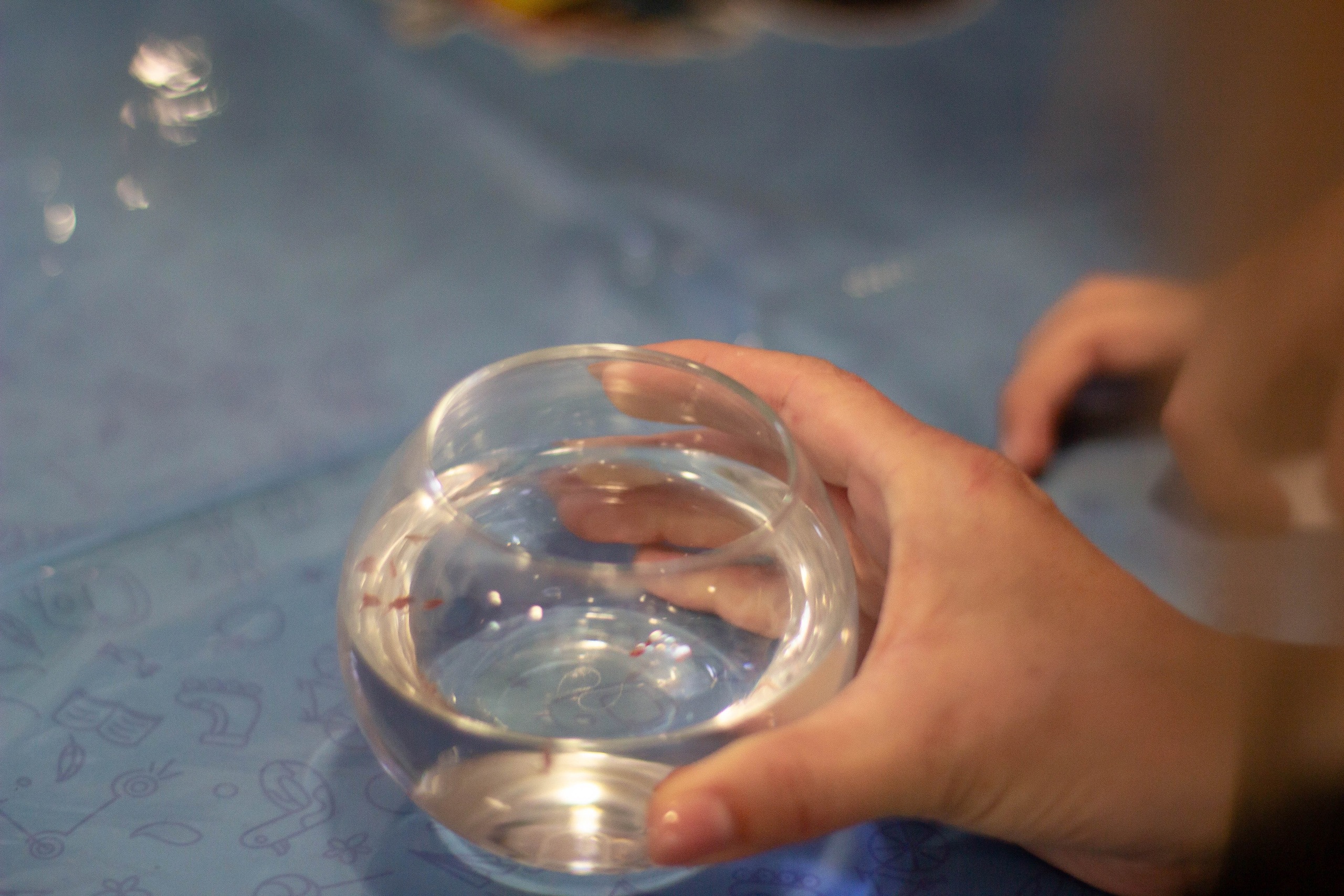 Форум родные-любимые 2024. Фотограф мероприятий и спорта: юбилеев, дней рождений и корпоративов из Москвы