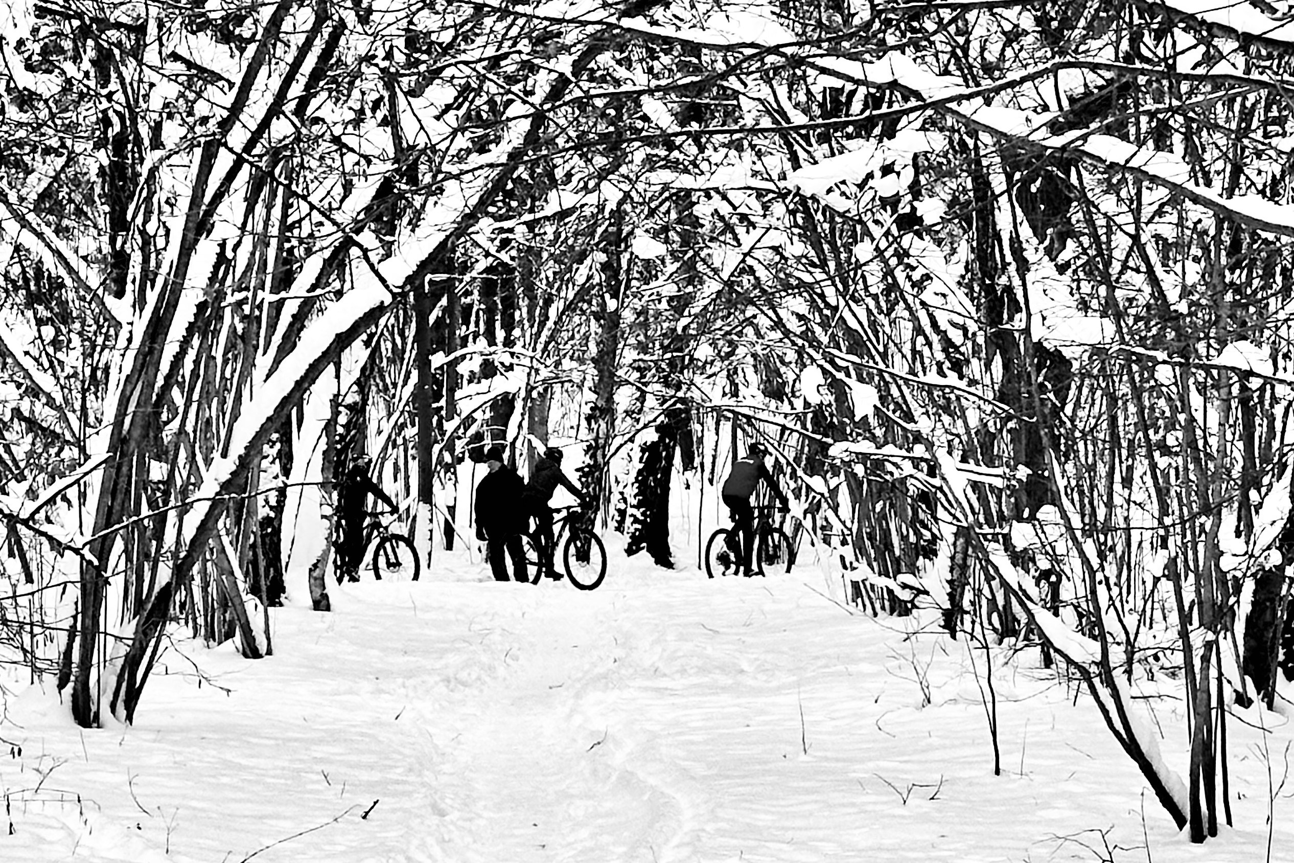 Чёрно-белая зима 25-26. Фотосессии и репортаж — Фотограф в Москве — Рина Серёгина
