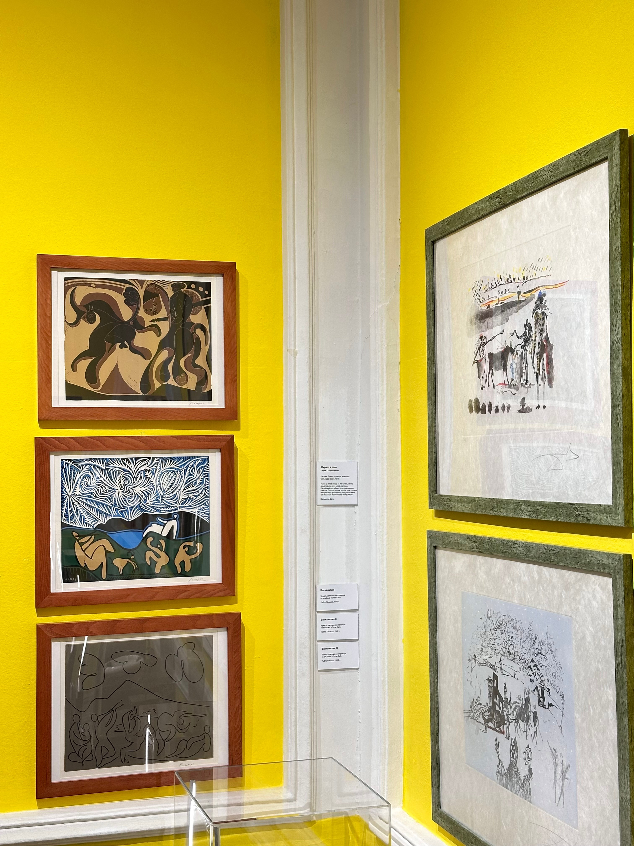 Выставка Дали & Пикассо. Фотосессии и репортаж — Фотограф в Москве — Рина Серёгина