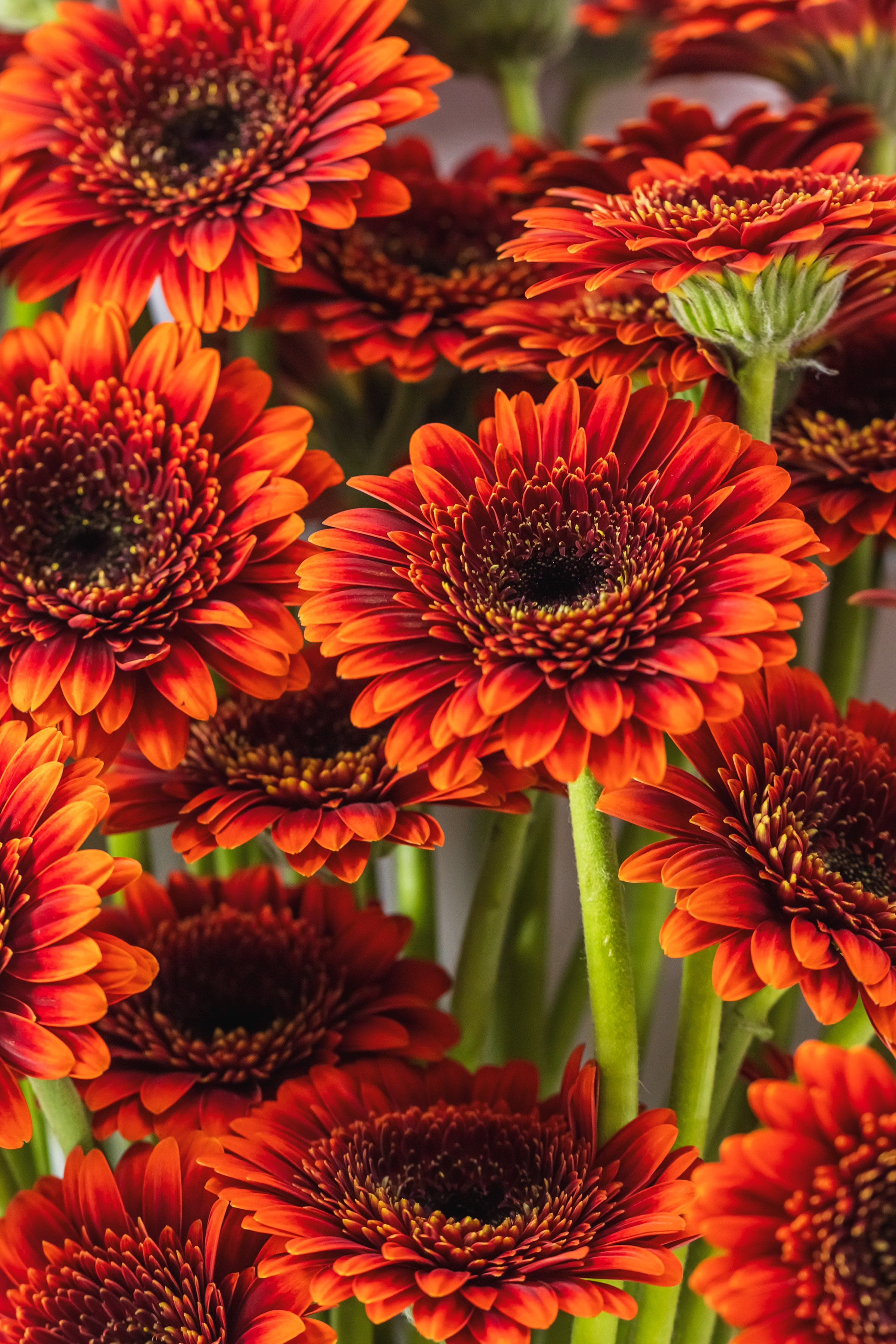 Эксперименты. Фотосессии и репортаж — Фотограф в Москве — Рина Серёгина