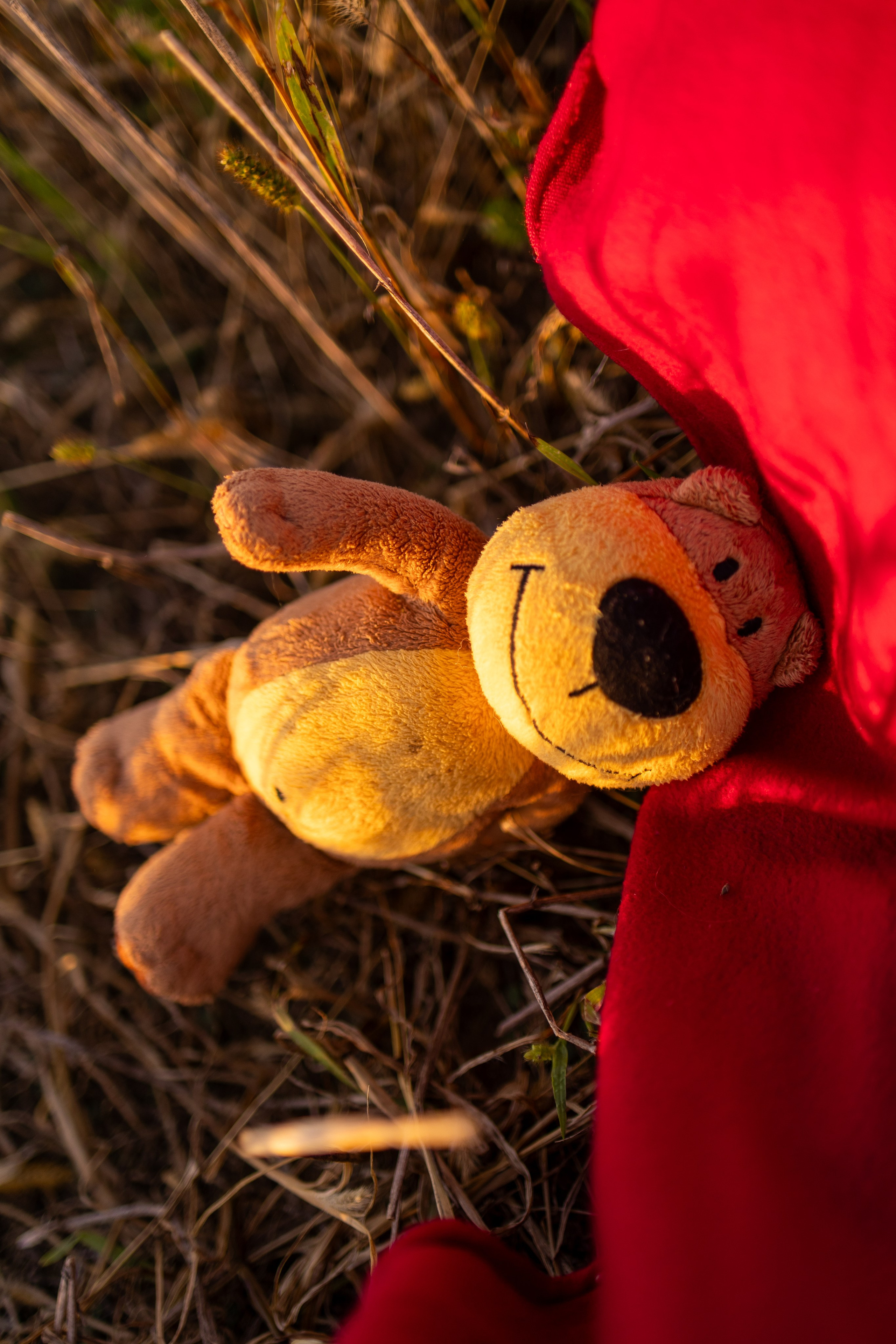 Ангелина с семьей. Семейный фотограф в Дзержинске Наталья Лаэтина