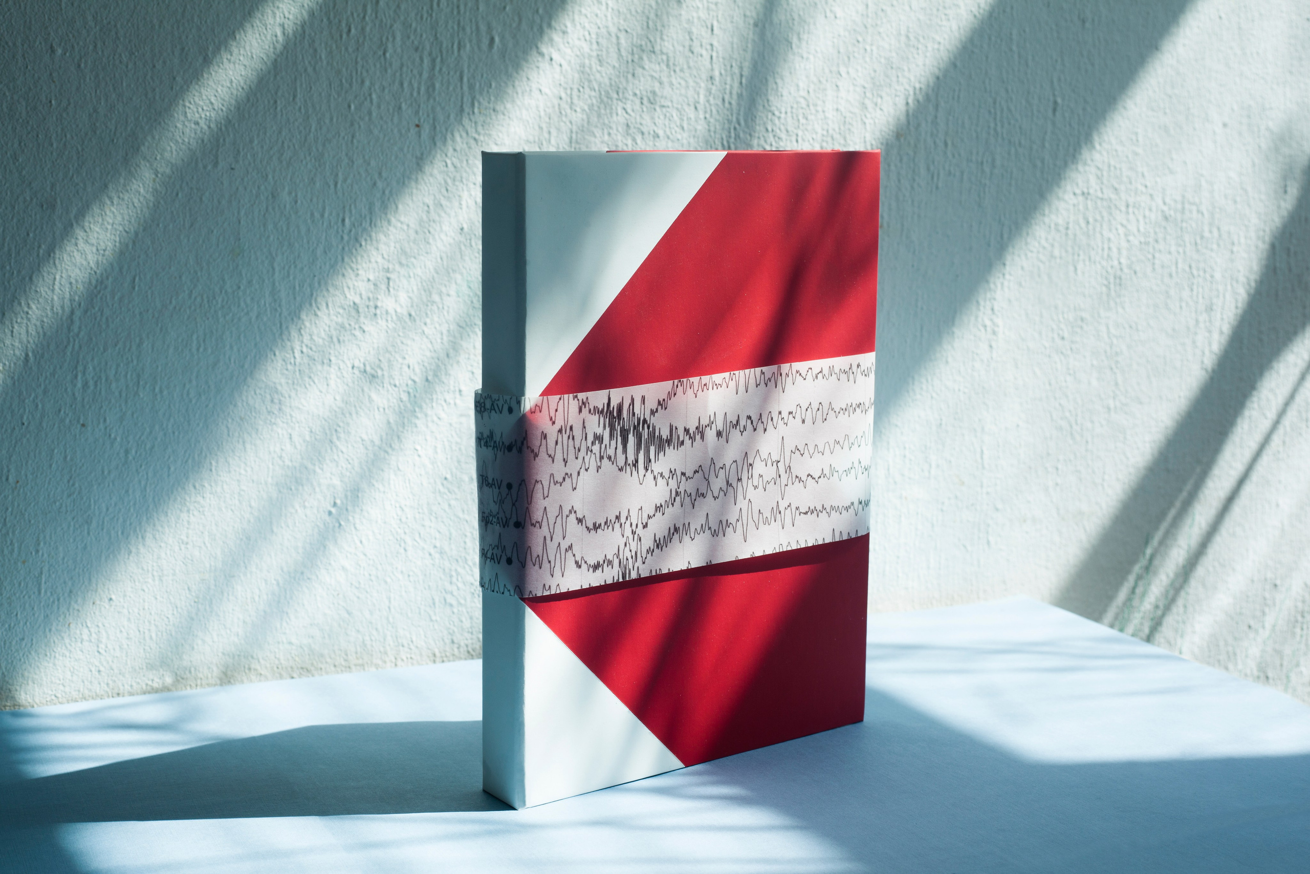 A book about the project. Aleksandra Mikhailova multimedia artist