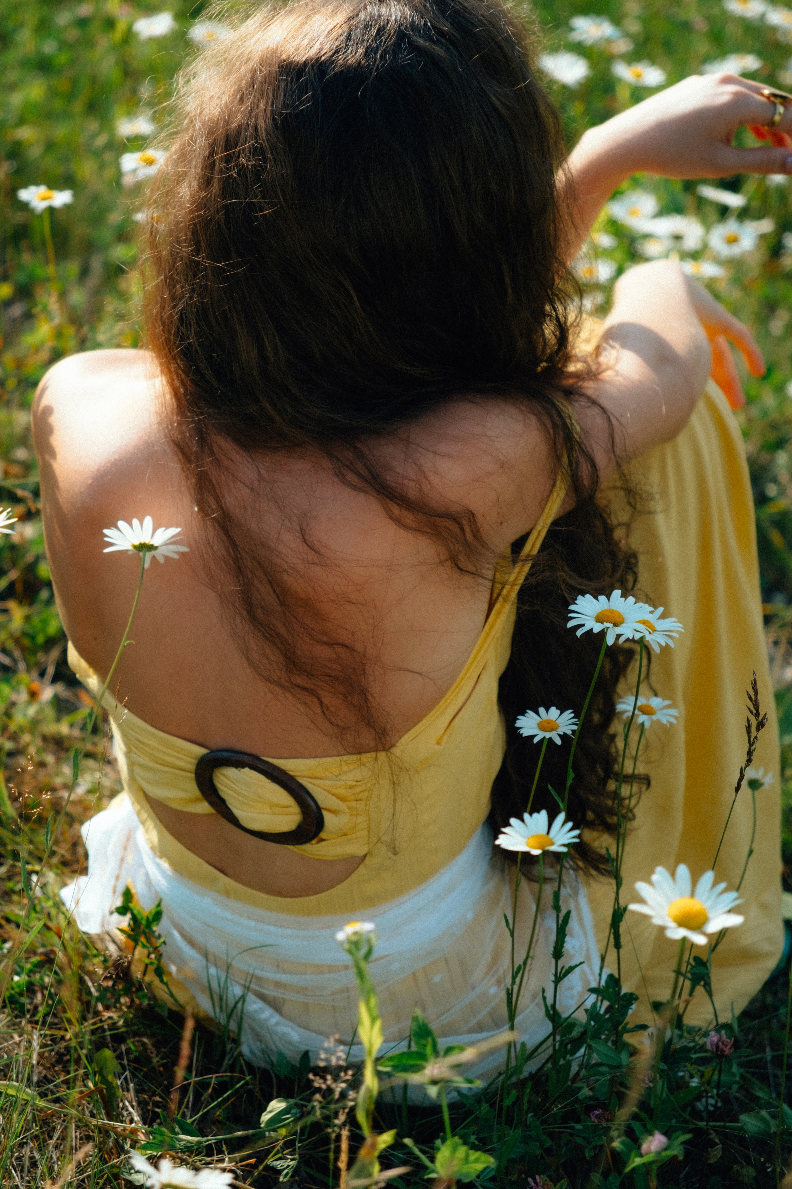 Ромашковые вершины. Репортажный фотограф в Сочи Екатерина Вежливцева