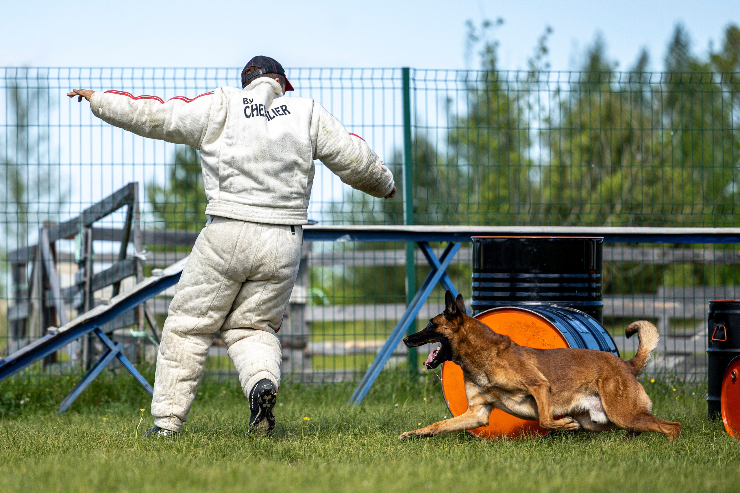 Испытания по мондьорингу в Нижнем Новгороде. Фотограф-анималист Анна Маринич
