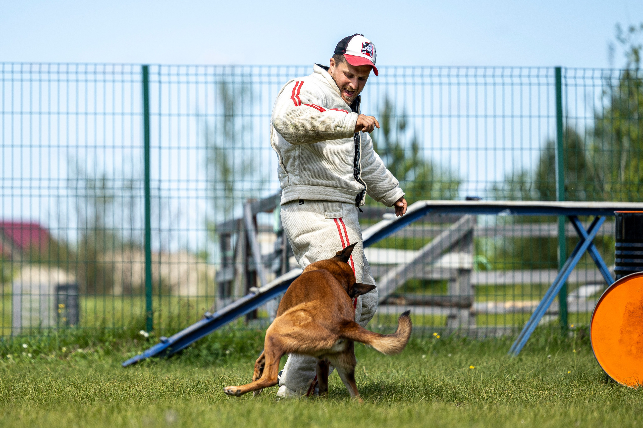 Испытания по мондьорингу в Нижнем Новгороде. Фотограф-анималист Анна Маринич