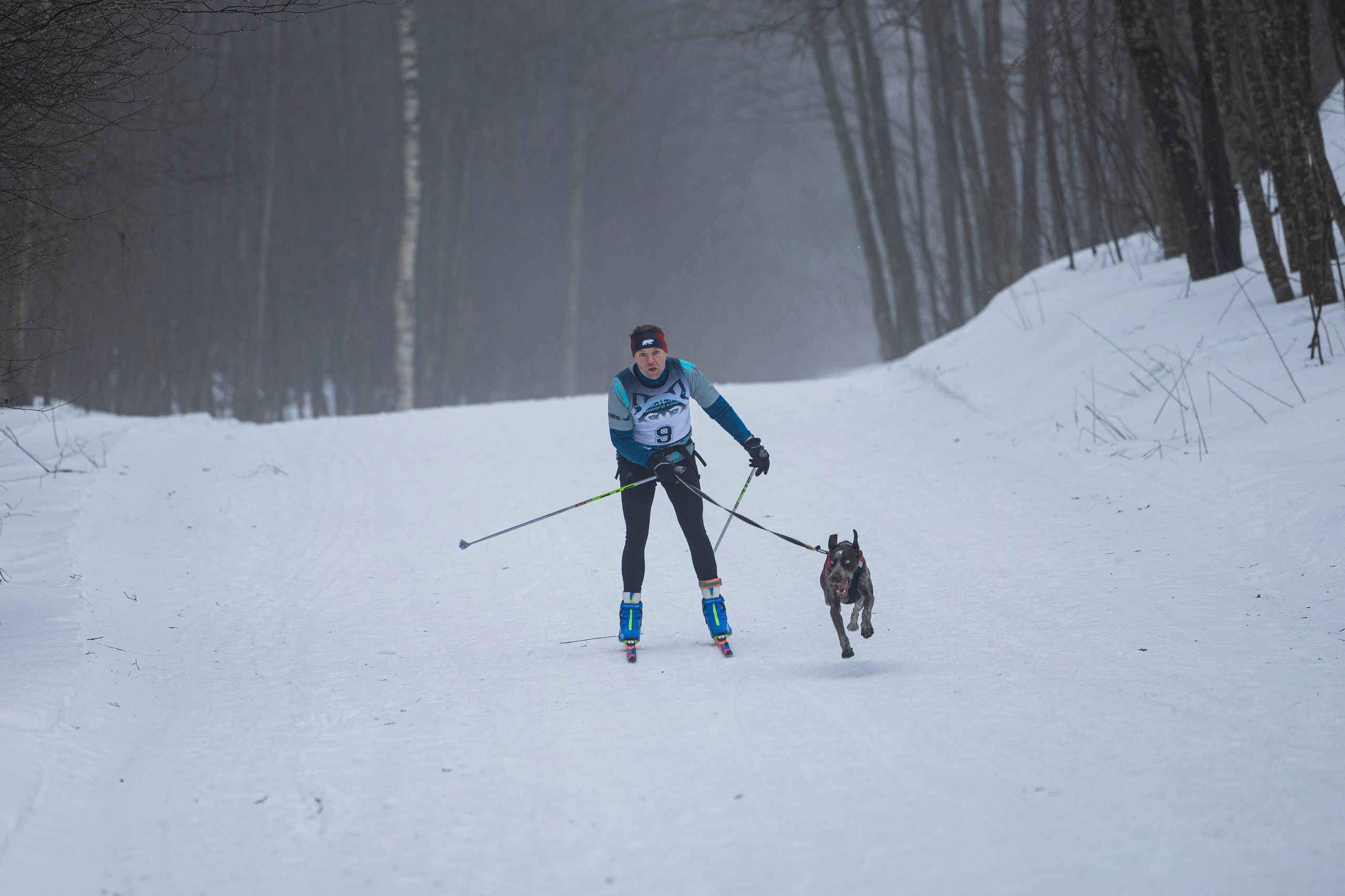 Зимний Чемпионат Санкт-Петербурга по ездовому спорту. Фотограф-анималист Анна Маринич