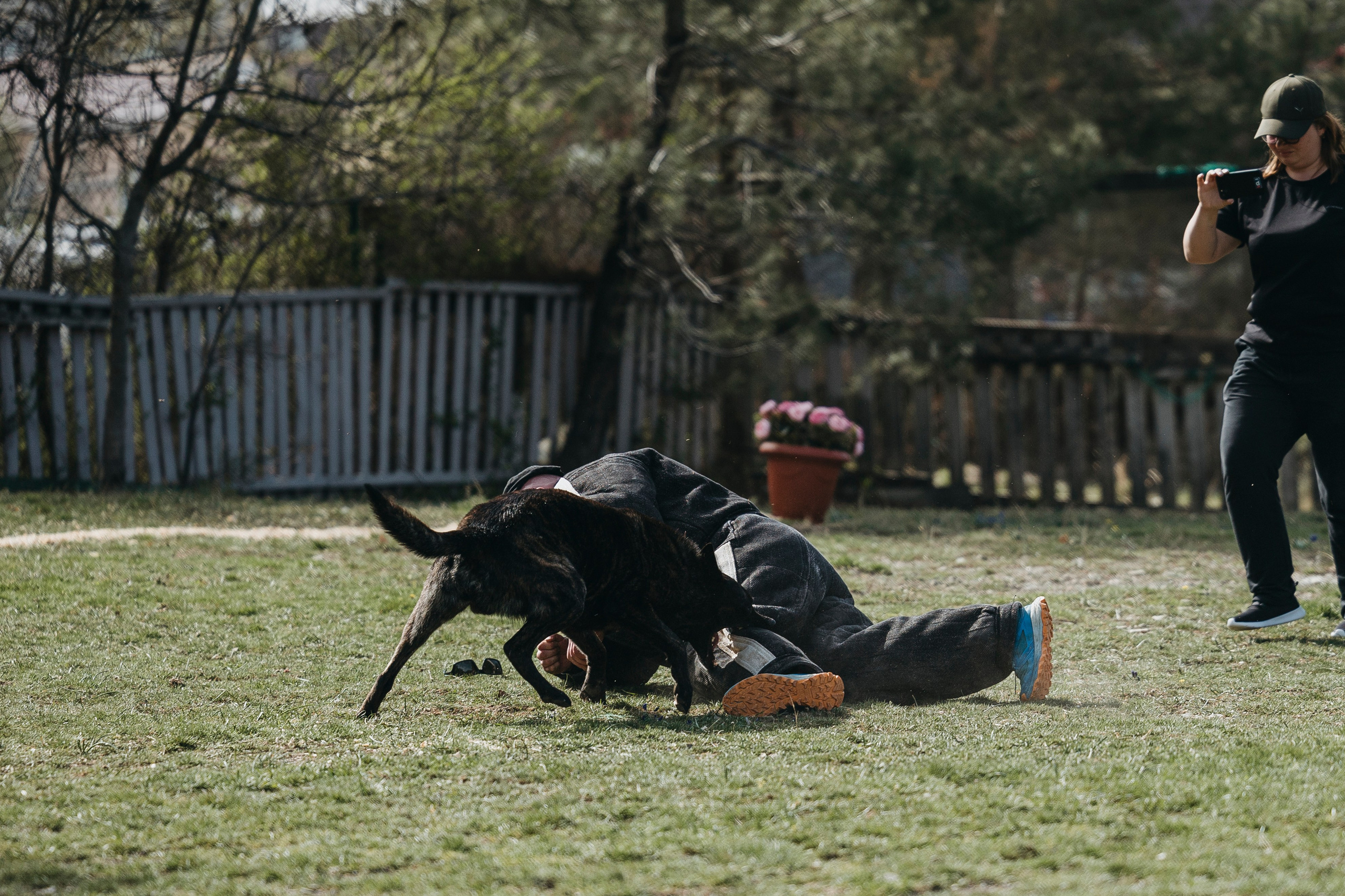 Геленджик Мондьоринг. Фотограф-анималист Анна Маринич