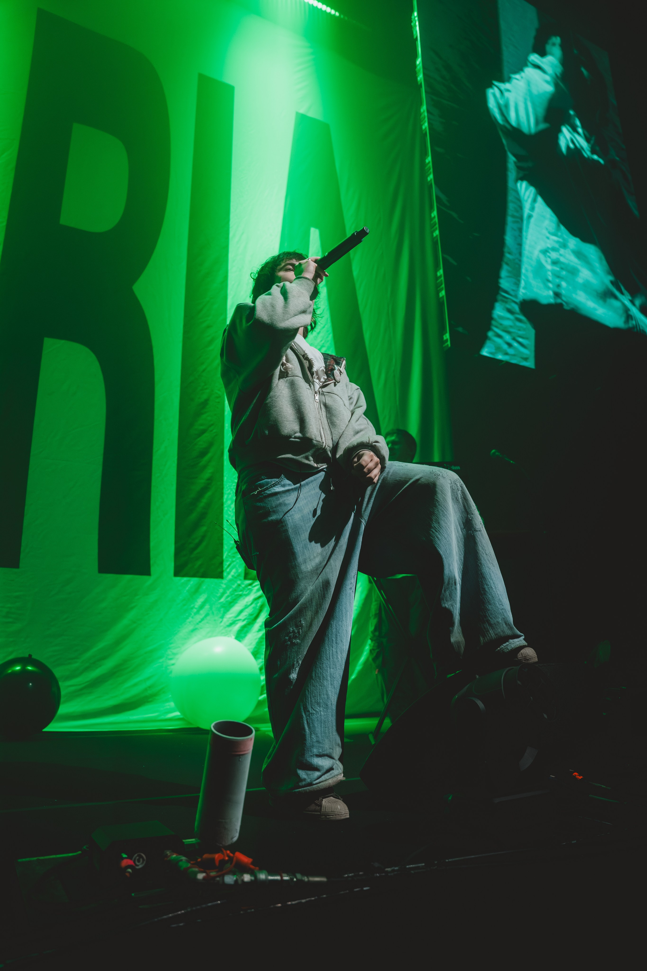 SALUKI. Фотограф Санкт-Петербурга