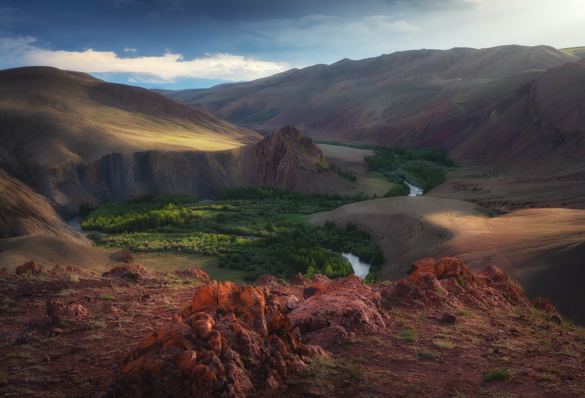 Лето на Кокоря. Редкий момент, когда эти полупустынные пейзажи становятся зелеными. Кош-Агачский район, июль 2023