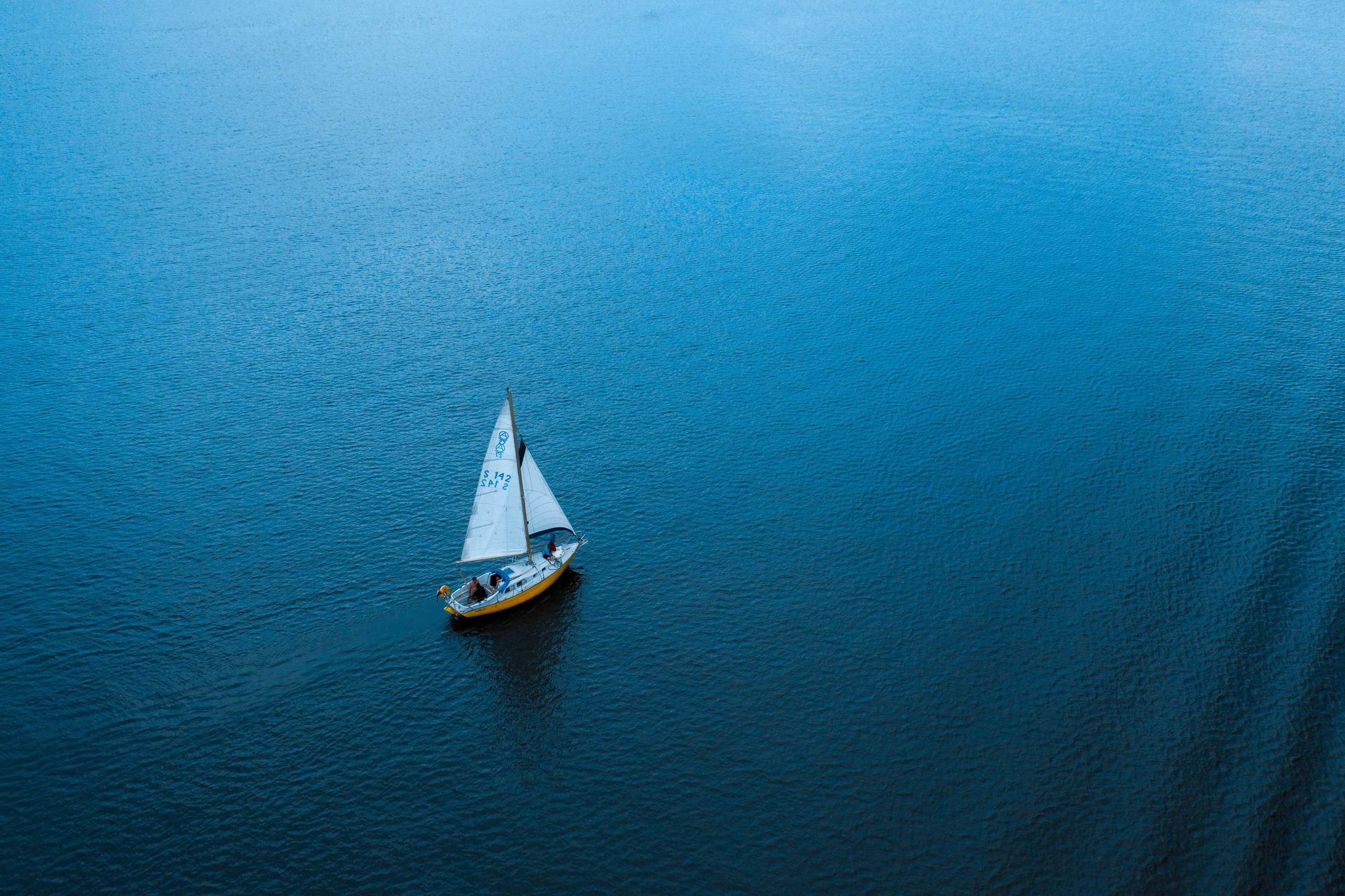 ЦВЕТНЫЕ ФОТОГРАФИИ. Никита Аничкин фото и видео оператор из России