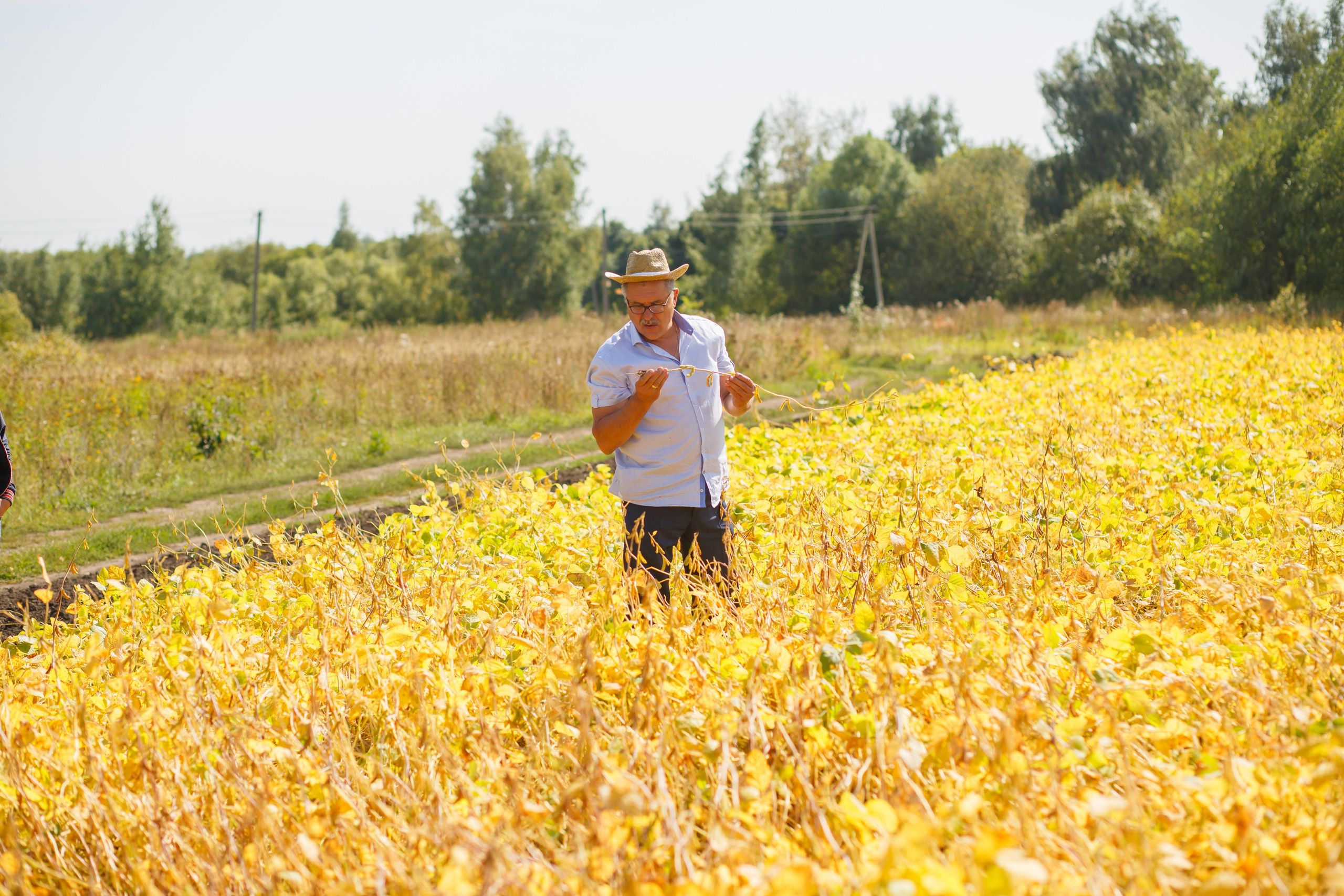 Агротерра. Фотограф Яков Поспехов