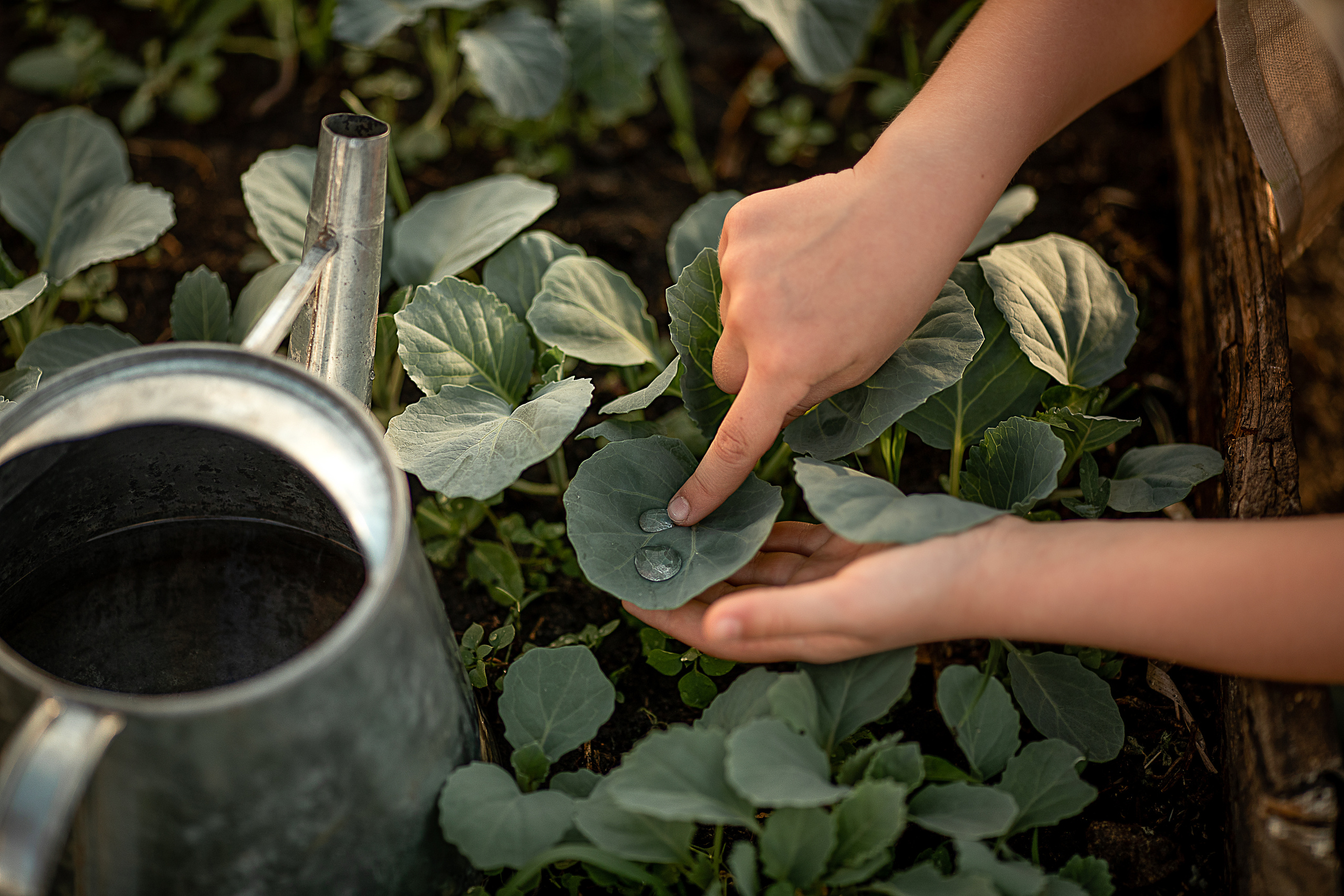 Дела огородные. Детский и семейный фотограф в Красноярске Елена Коровкина