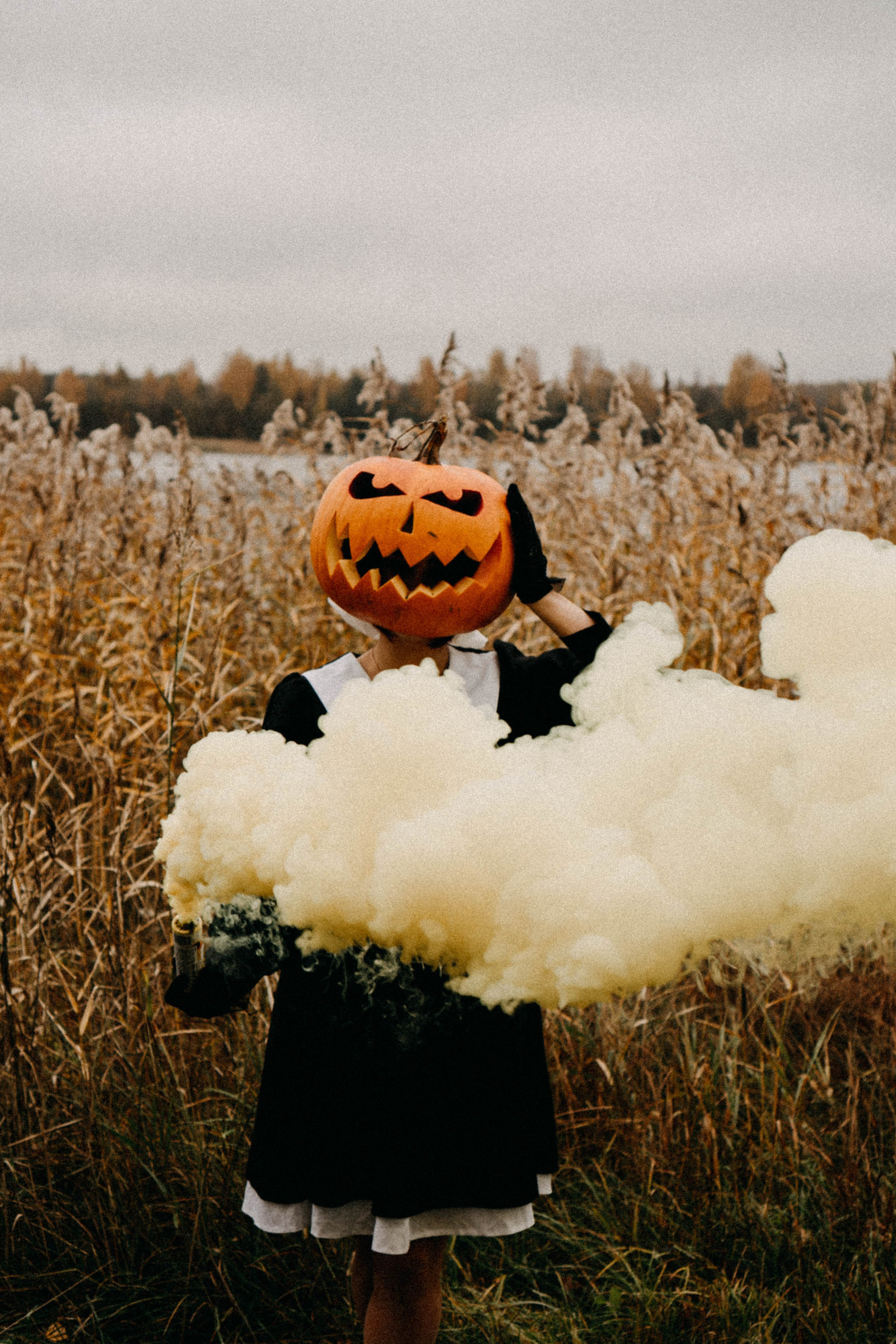 Осеняя. Профессиональный фотограф, Санкт-Петербург — Виктория Богомолова