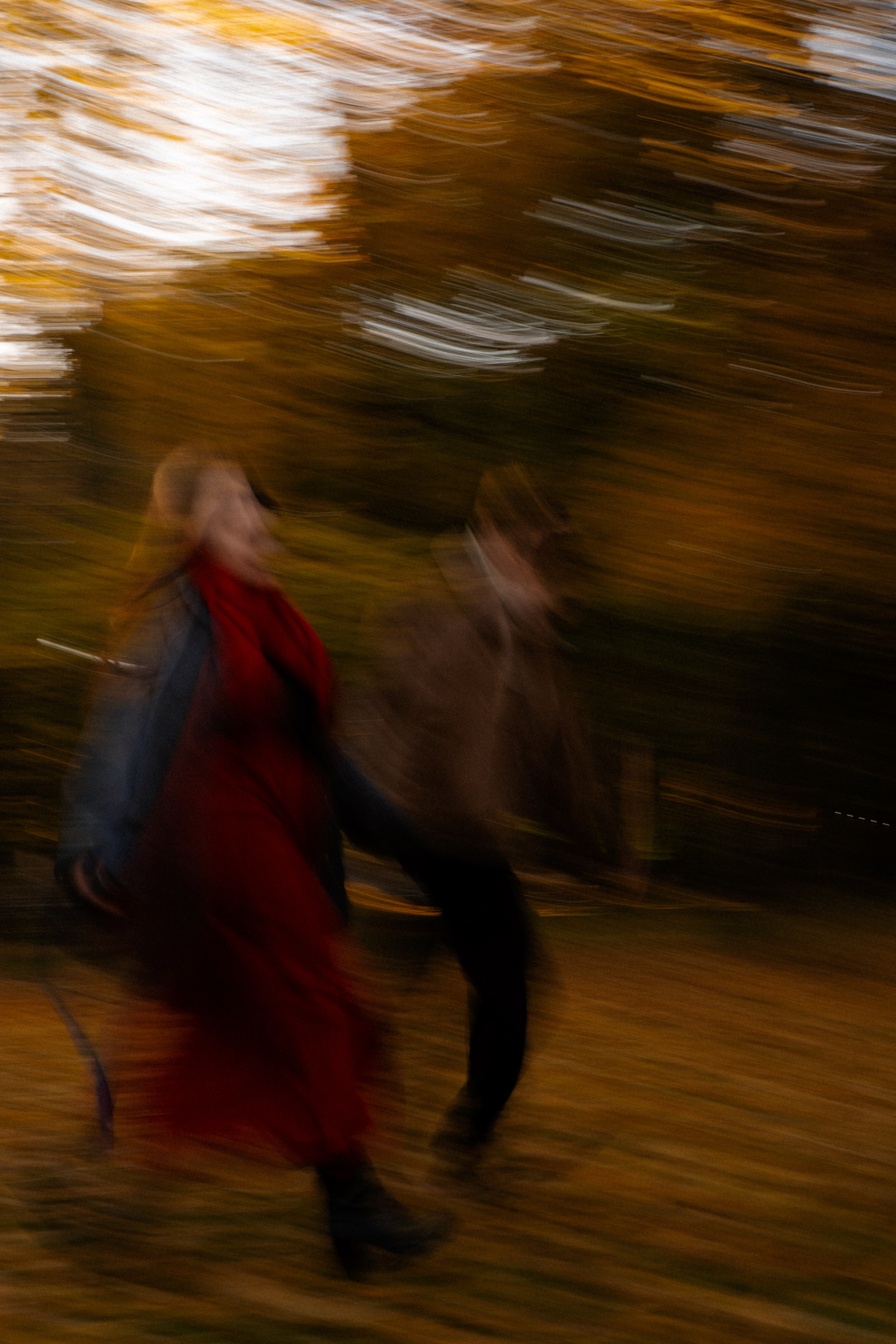 ОСЕННЯЯ ПРОГУЛКА. Профессиональный фотограф, Санкт-Петербург — Виктория Богомолова