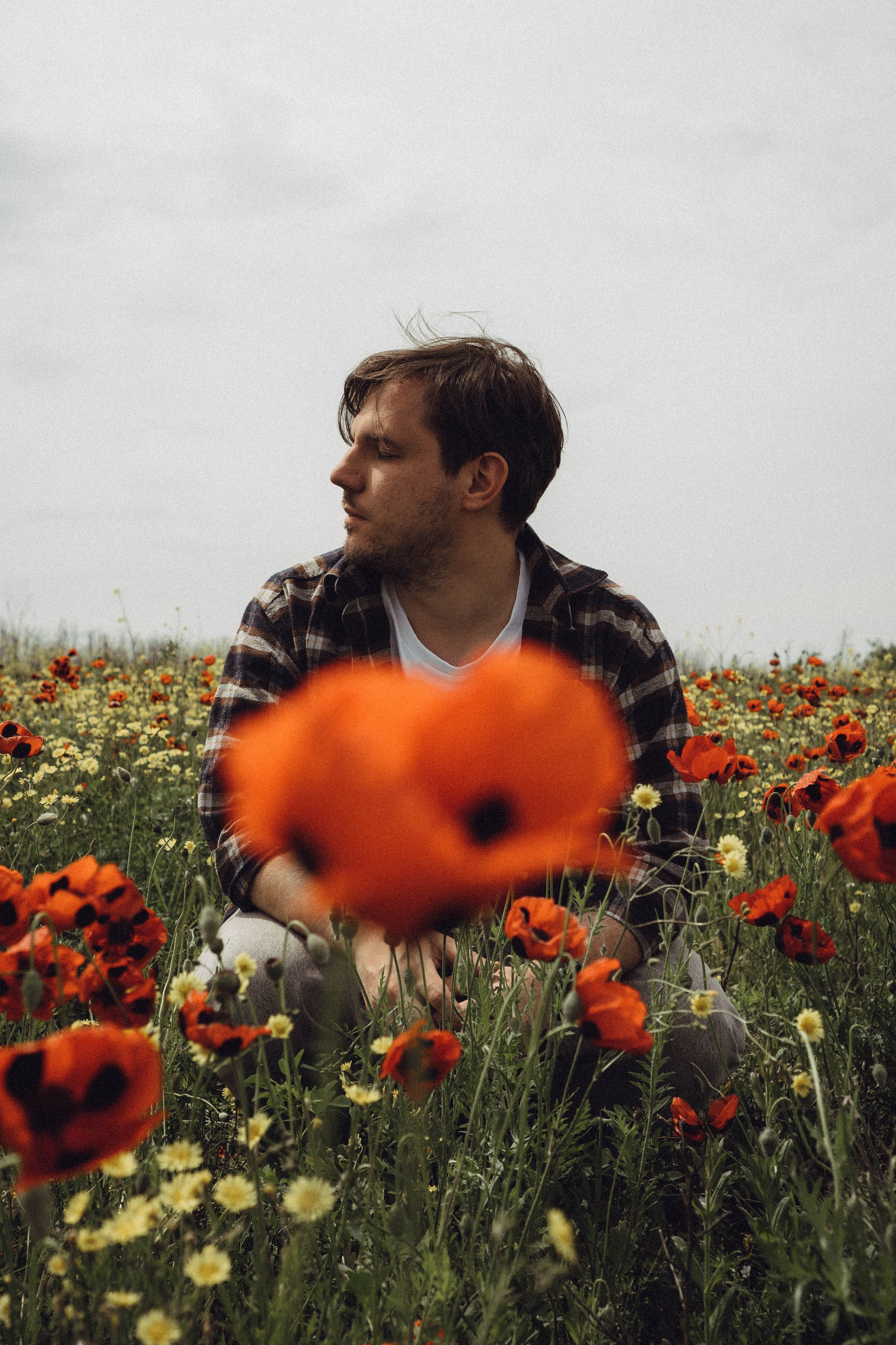 Маки. Профессиональный фотограф, Санкт-Петербург — Виктория Богомолова